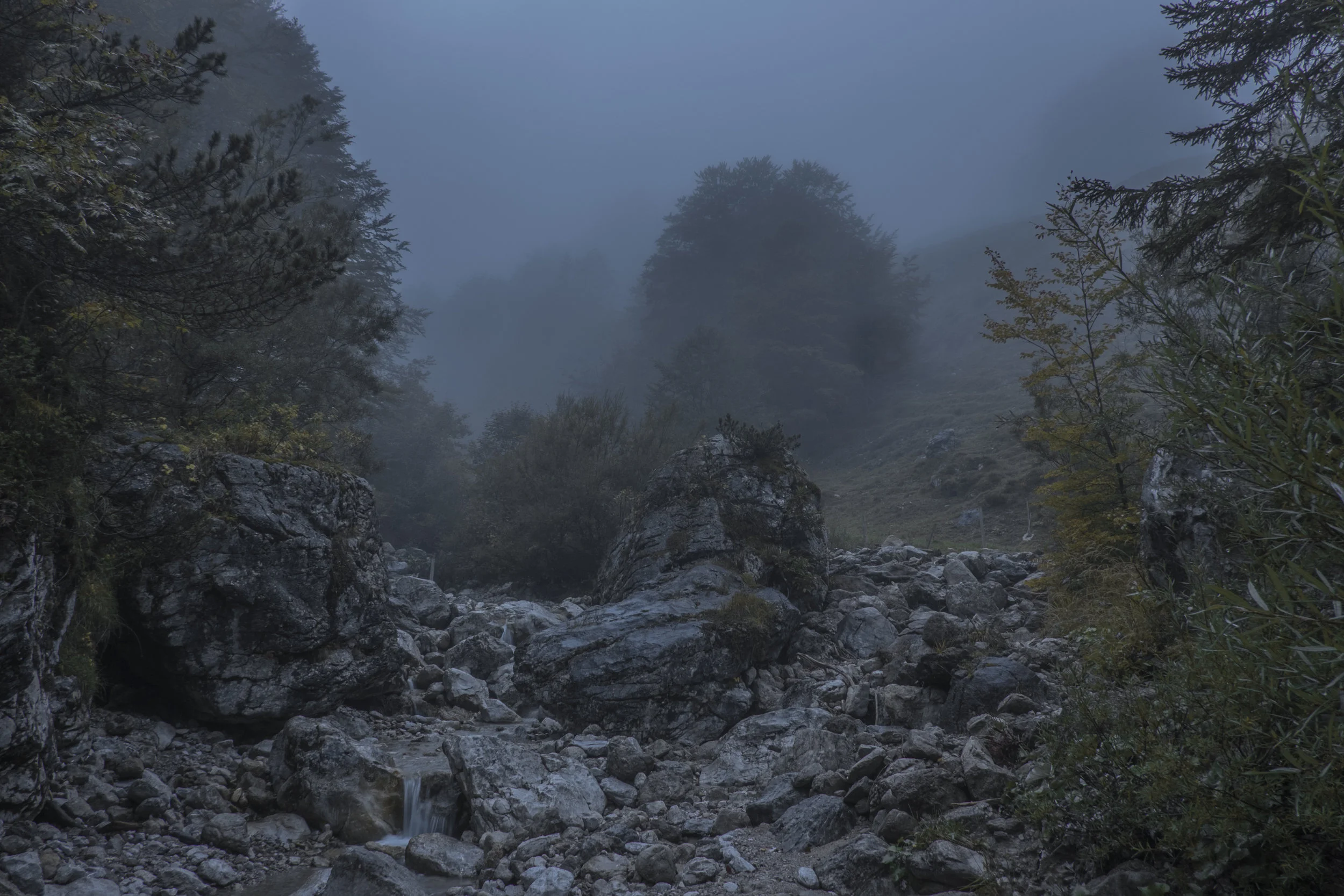 DSCF7903.jpg