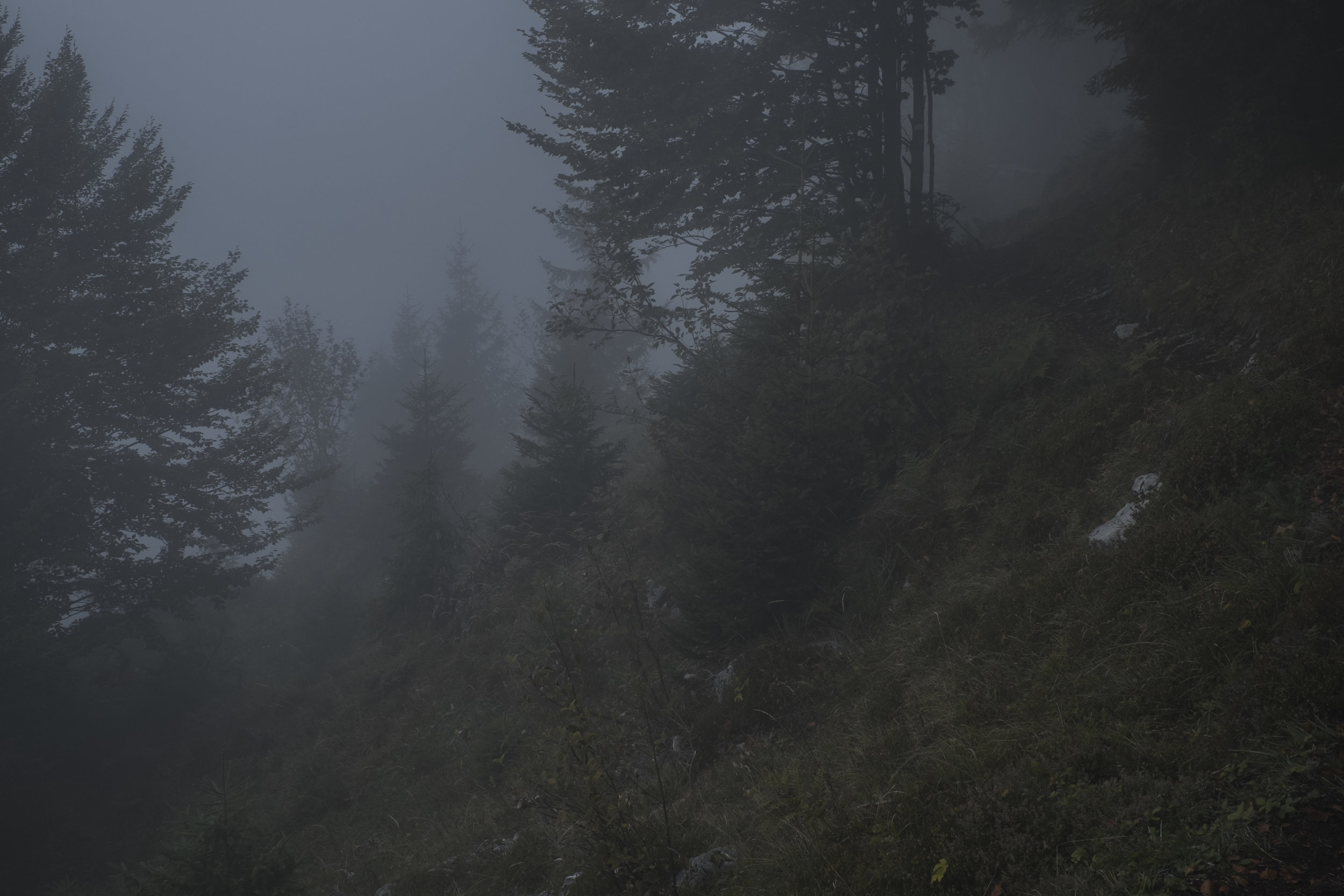 DSCF8540.jpg