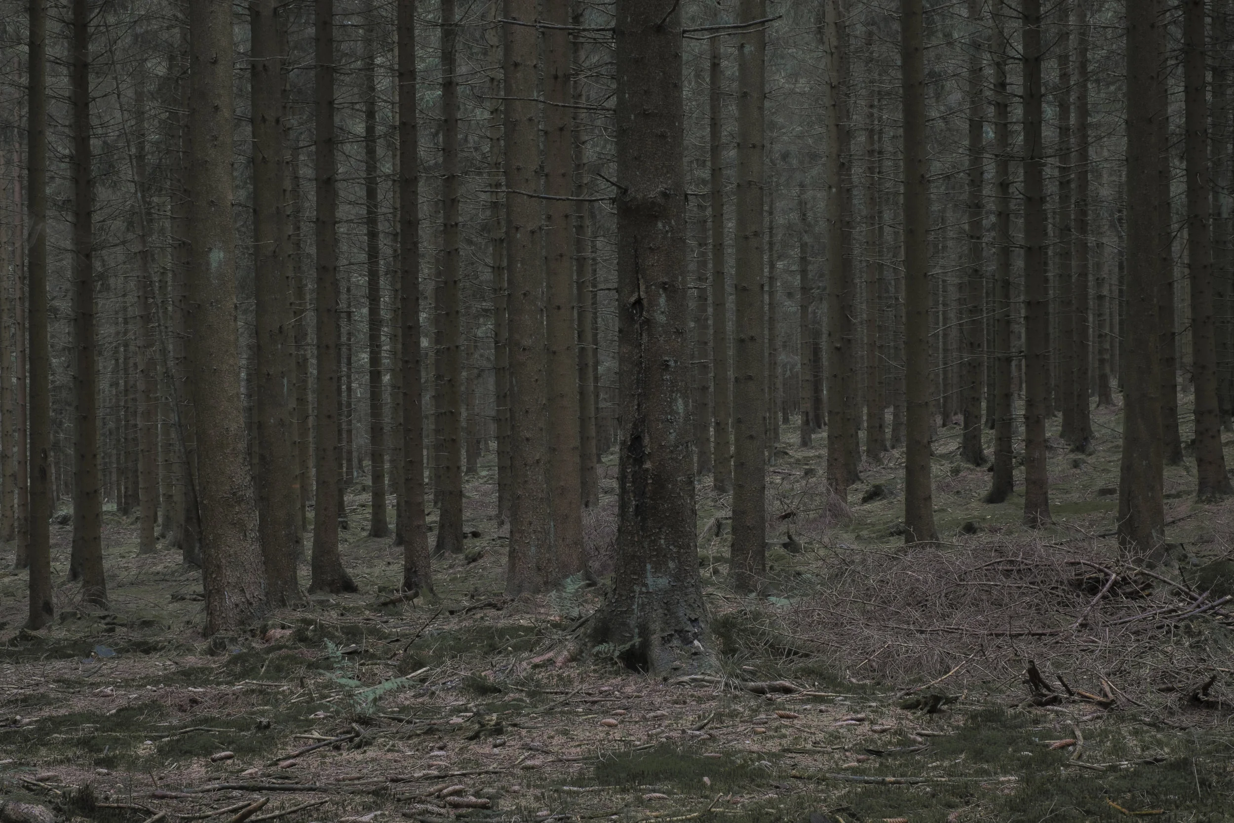 DSCF9444.jpg