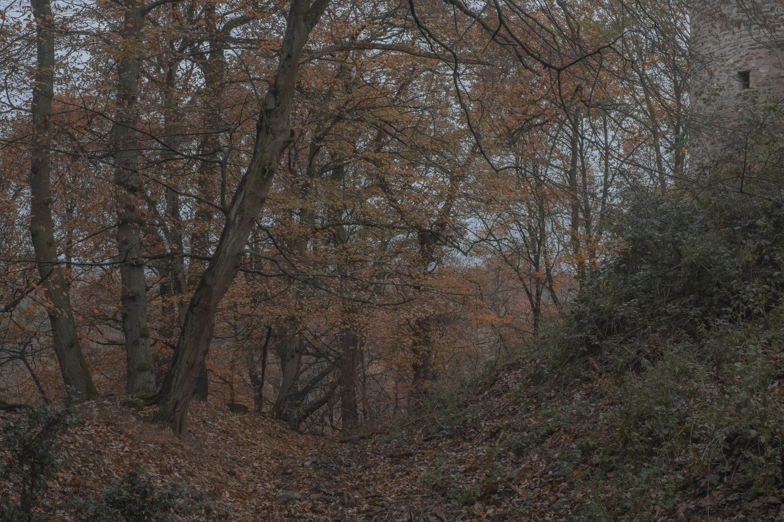 DSCF1199.jpg