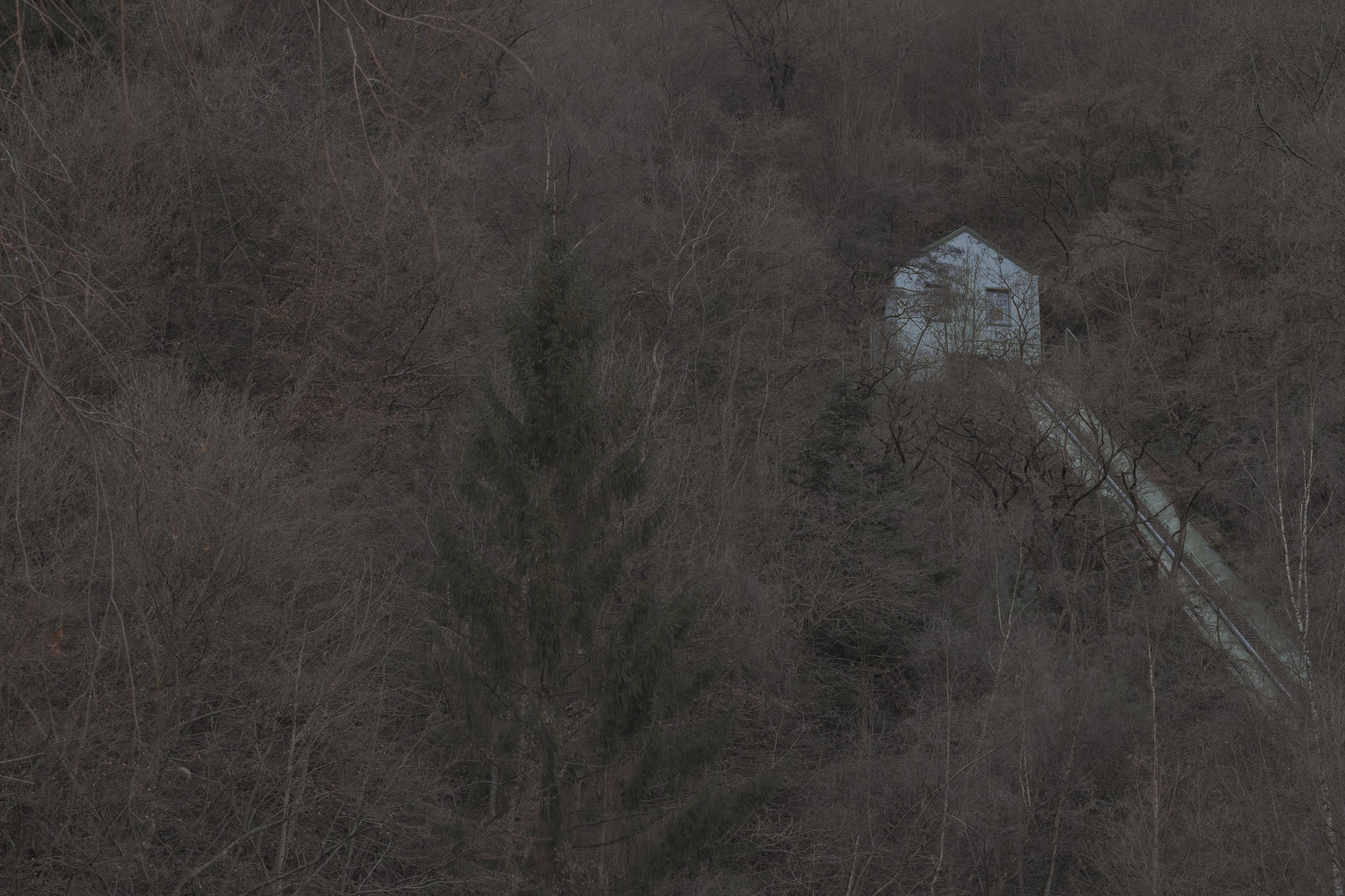 DSCF2371.jpg