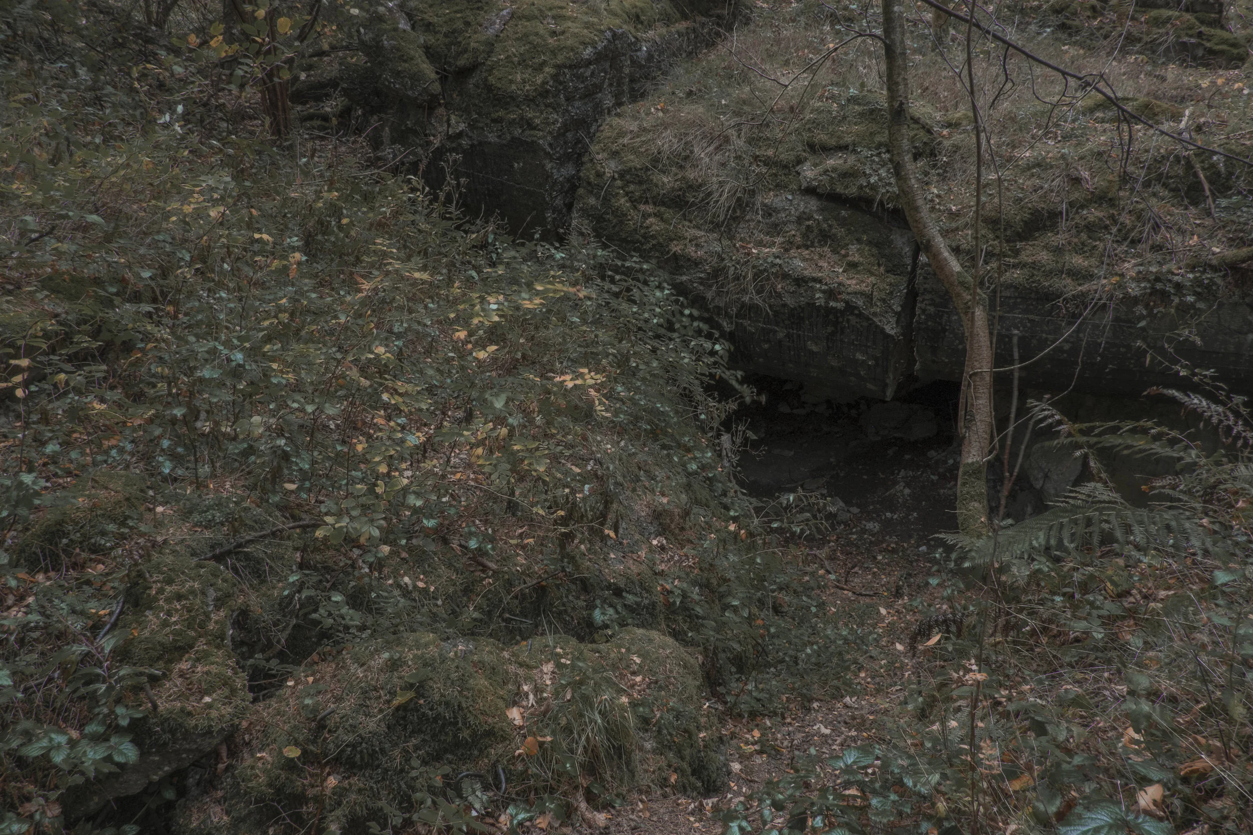 DSCF0401.jpg
