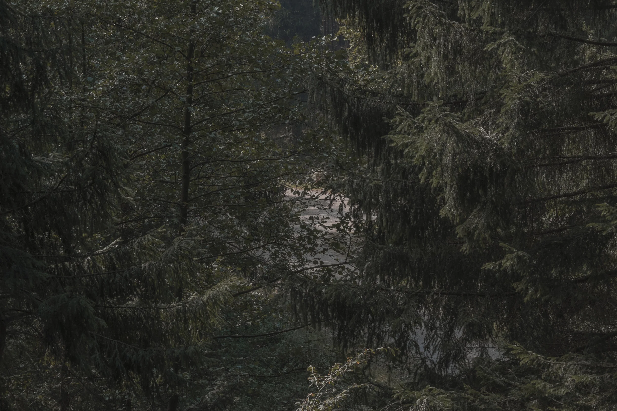 DSCF9724.jpg
