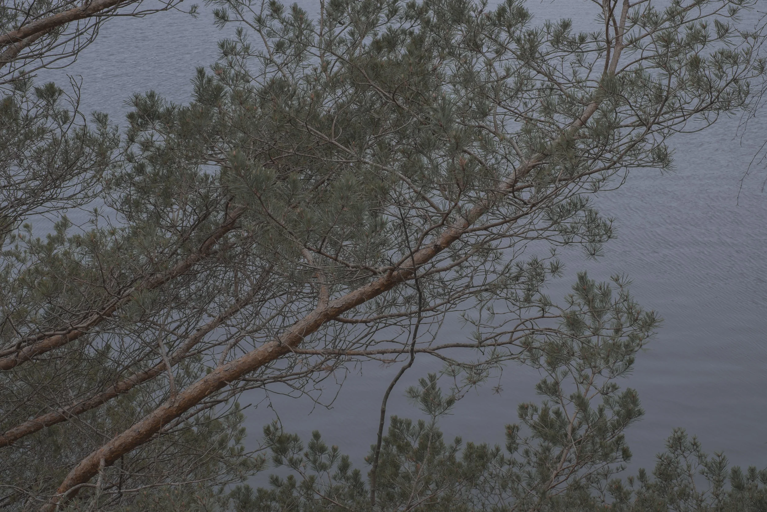 DSCF2403.jpg