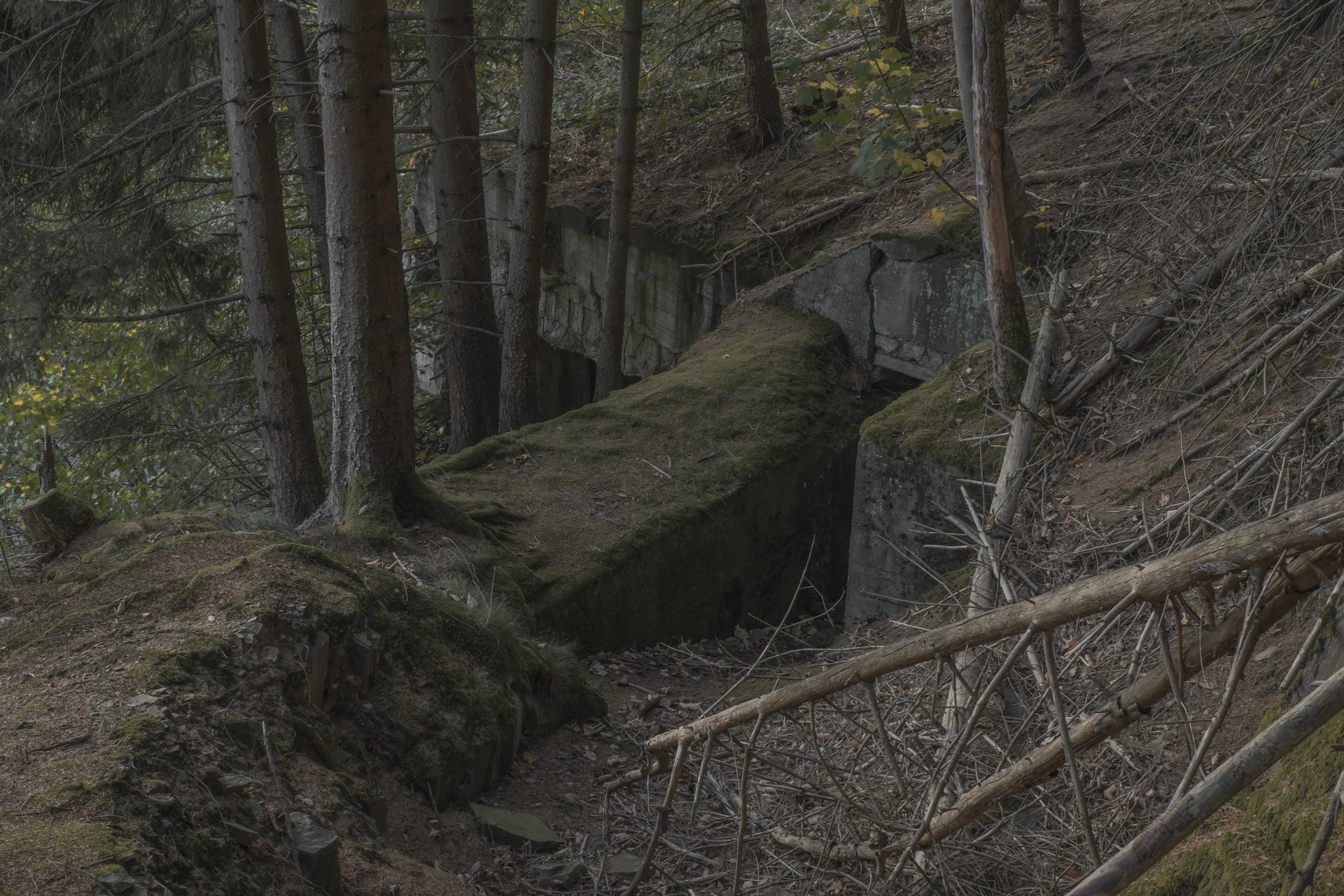 DSCF0360.jpg