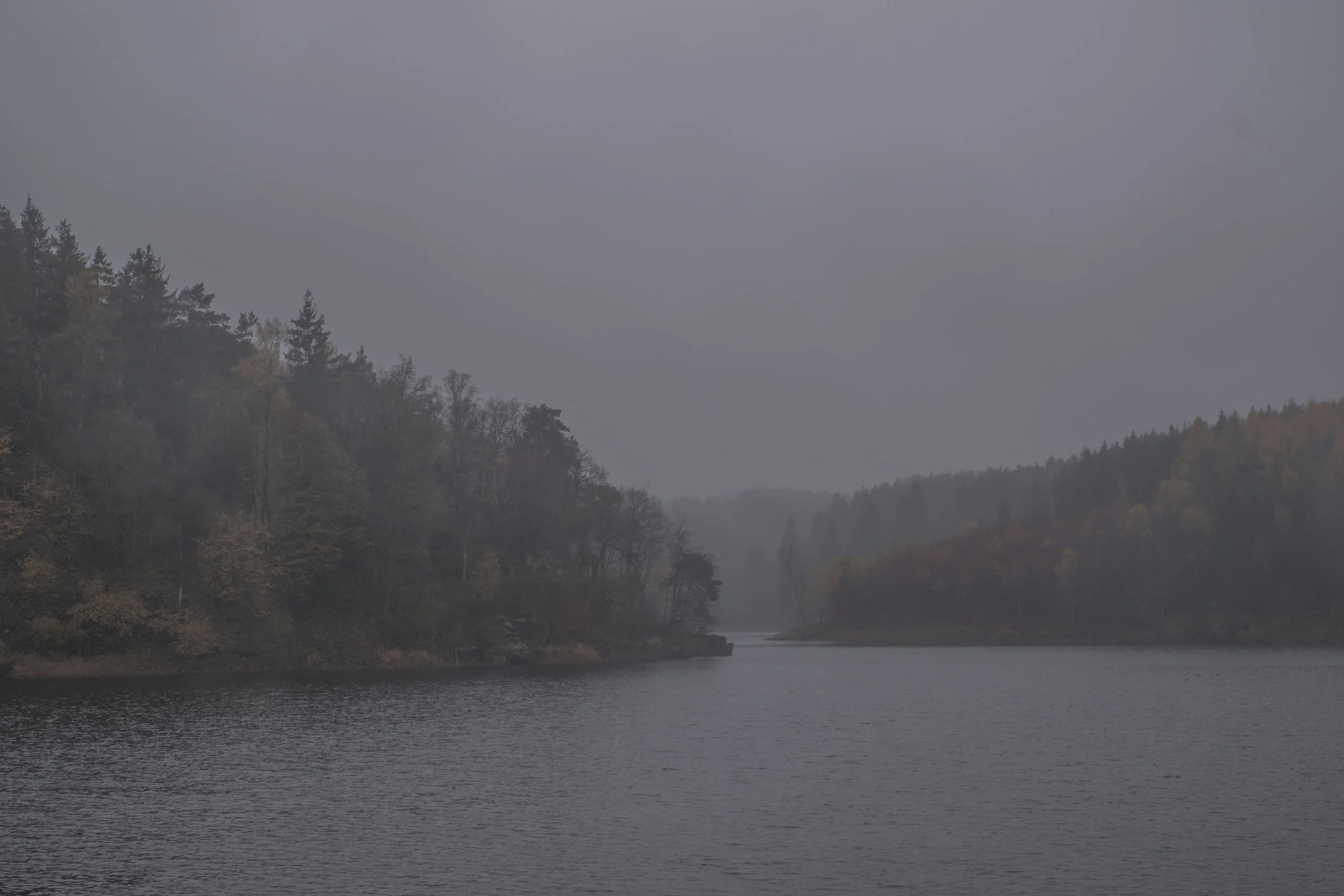 DSCF0747.jpg