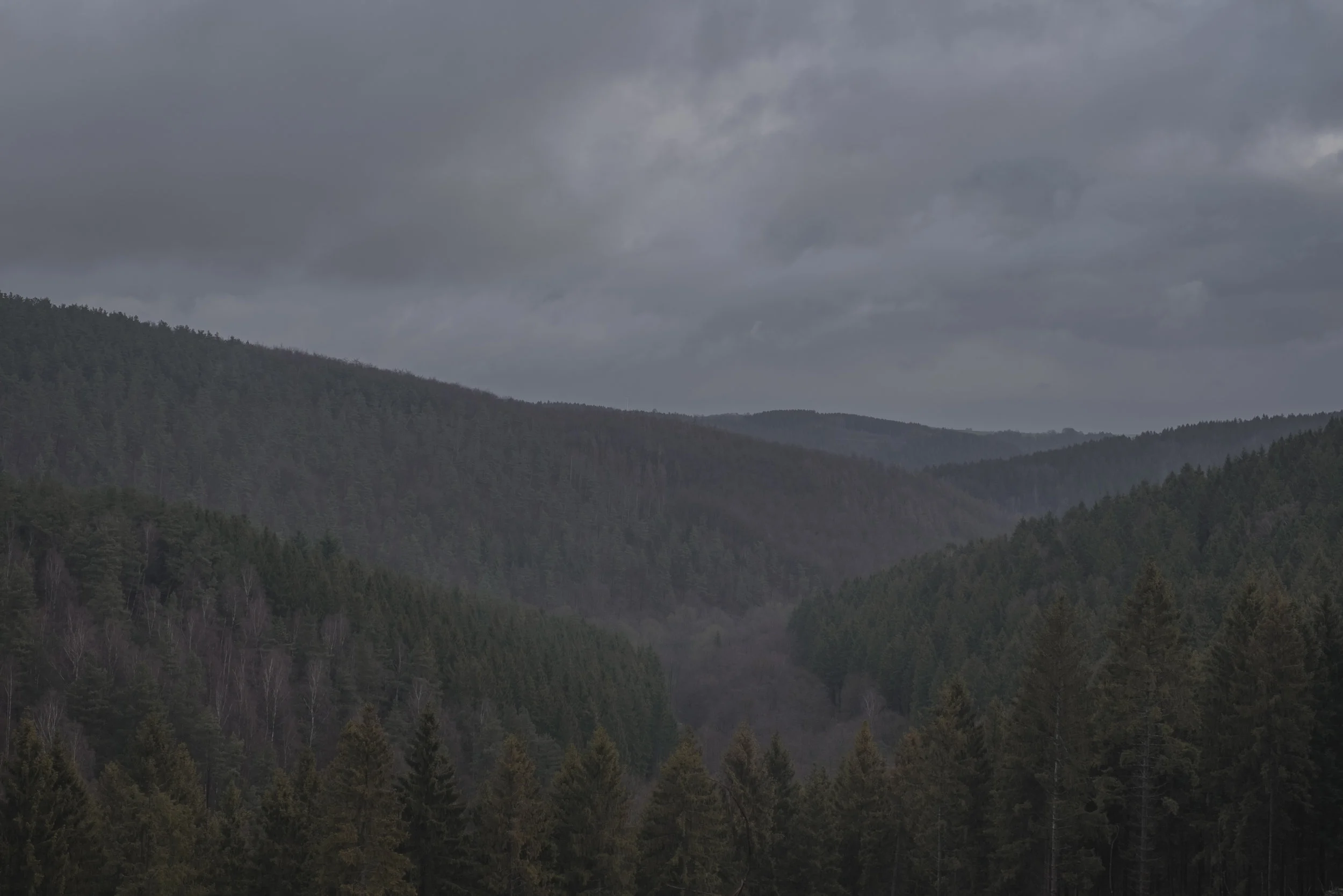 DSCF2288.jpg