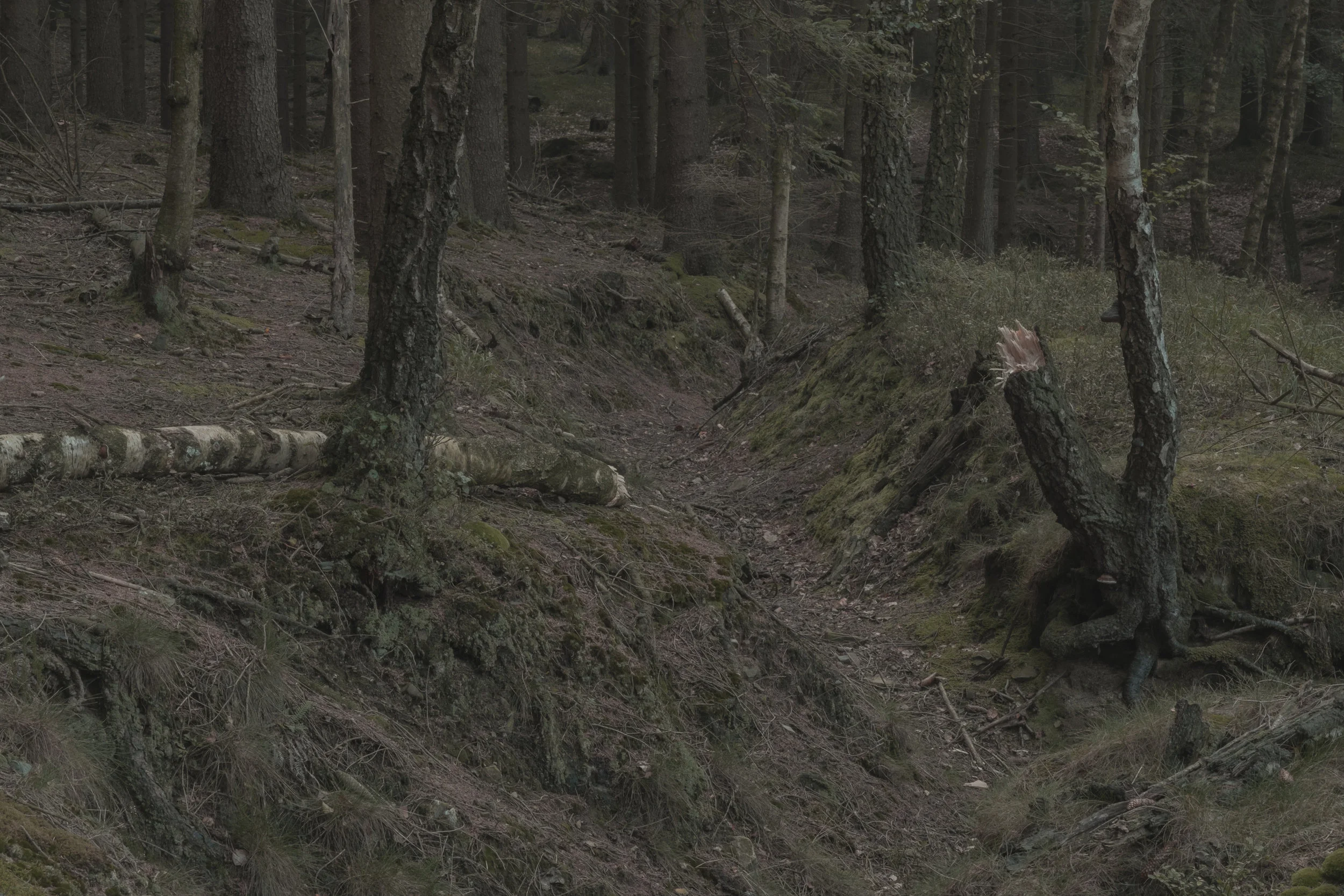 DSCF9809.jpg