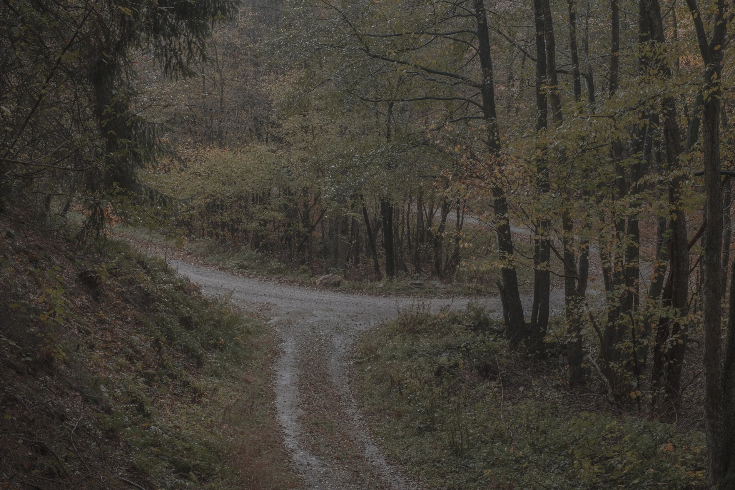DSCF1043.jpg
