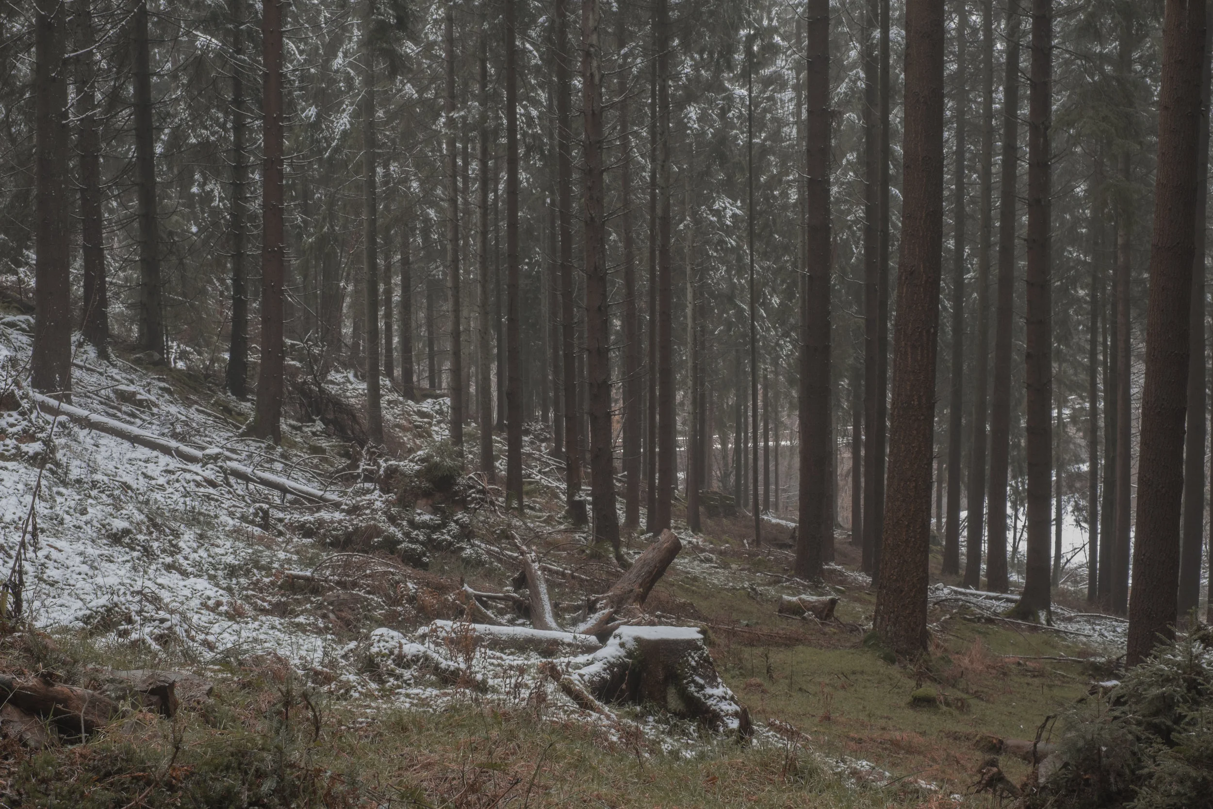 DSCF2084.jpg
