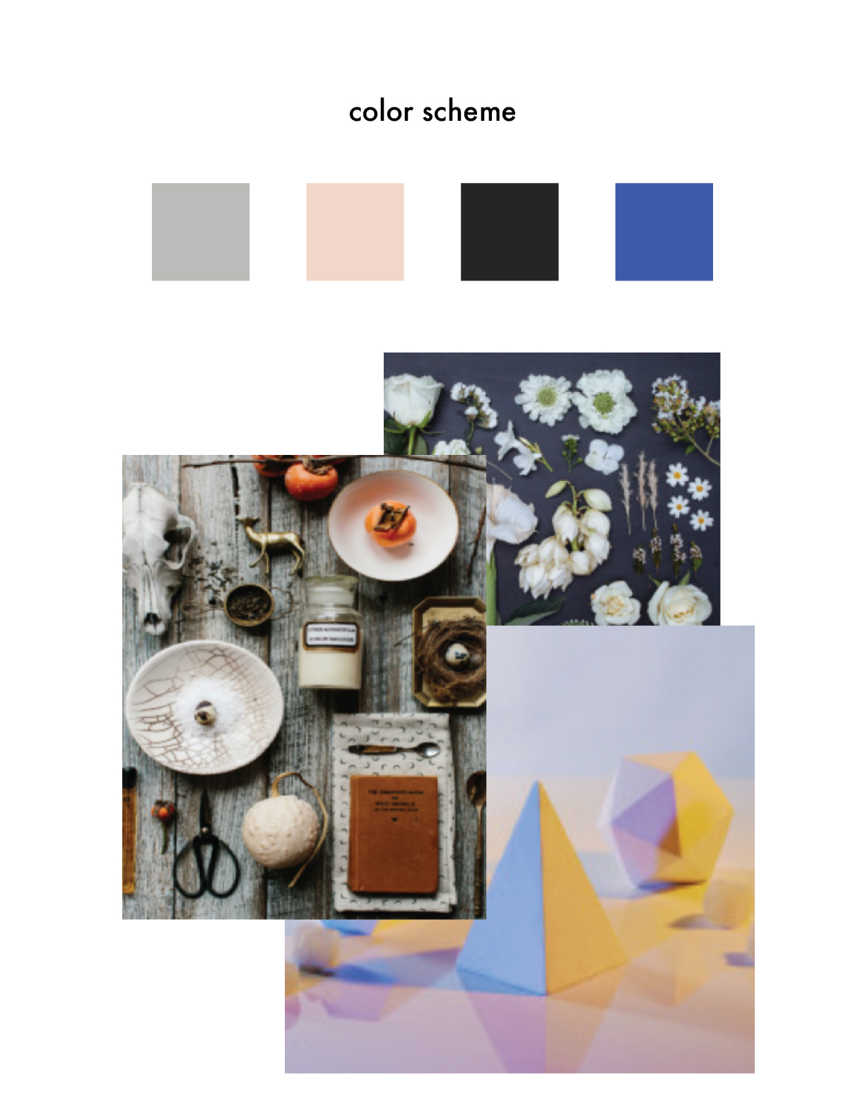 the painted nest studio color scheme