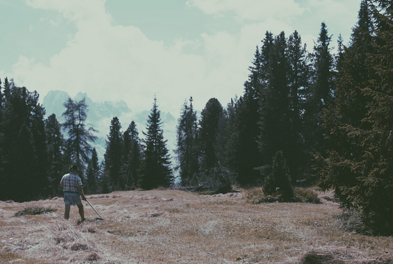 Photo Credit: Film For The Win