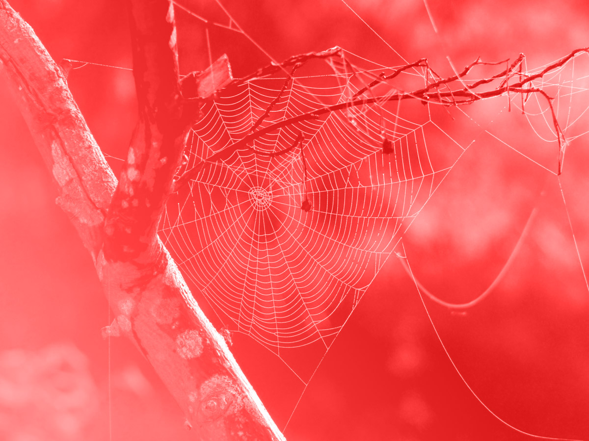 the-four-design-blog-best-lead-capture-techniques.jpg