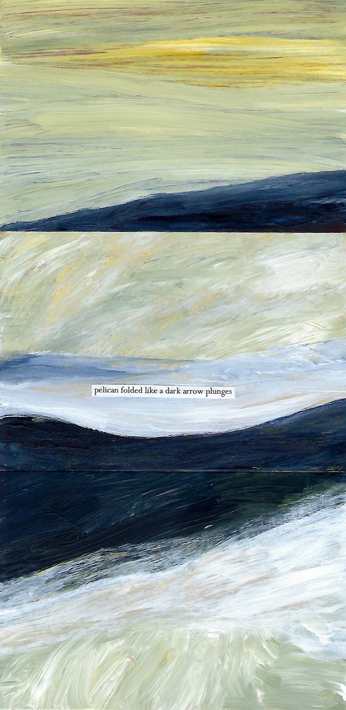 4A a pelican like a dark wing folded.jpg