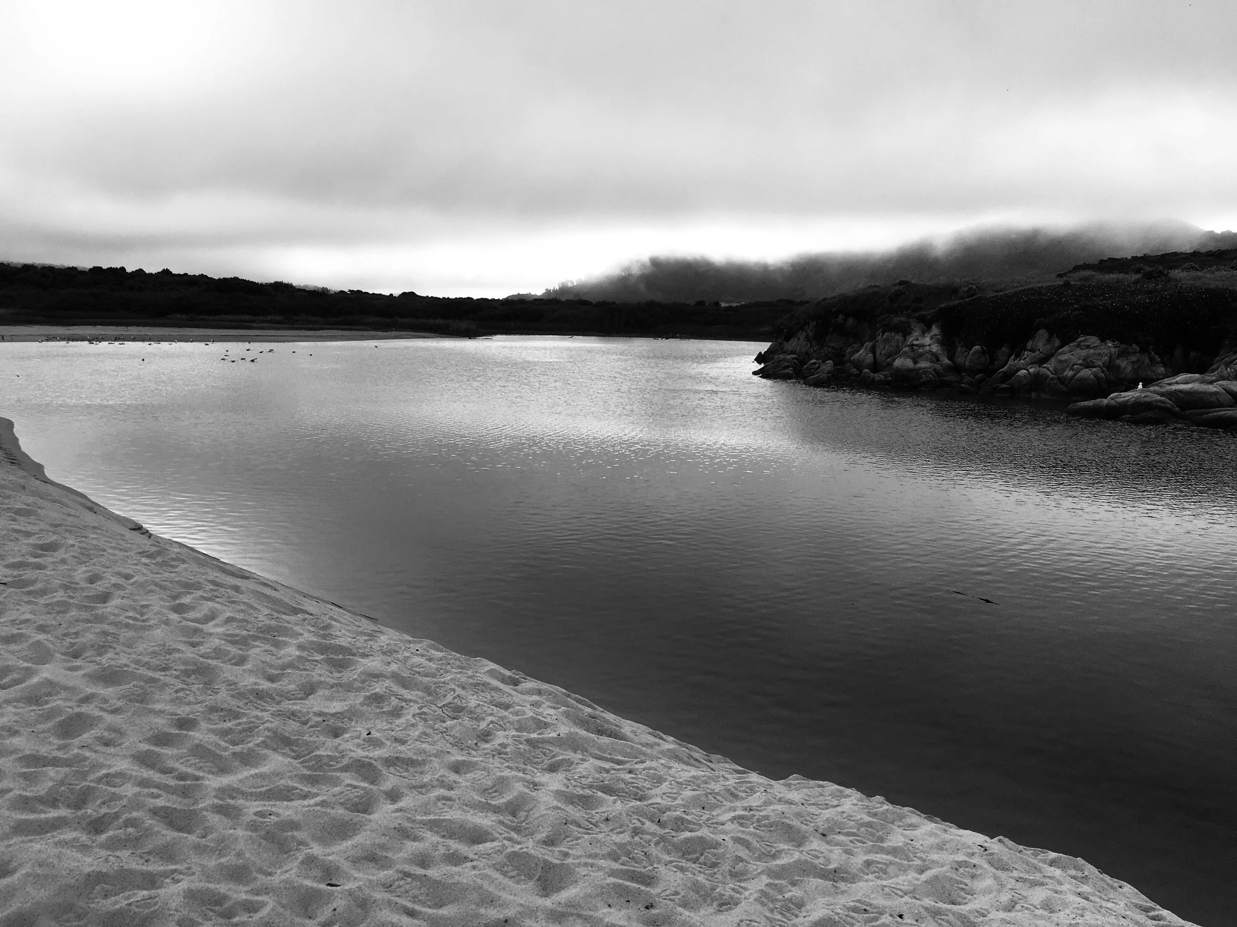 IMG_6567.jpg