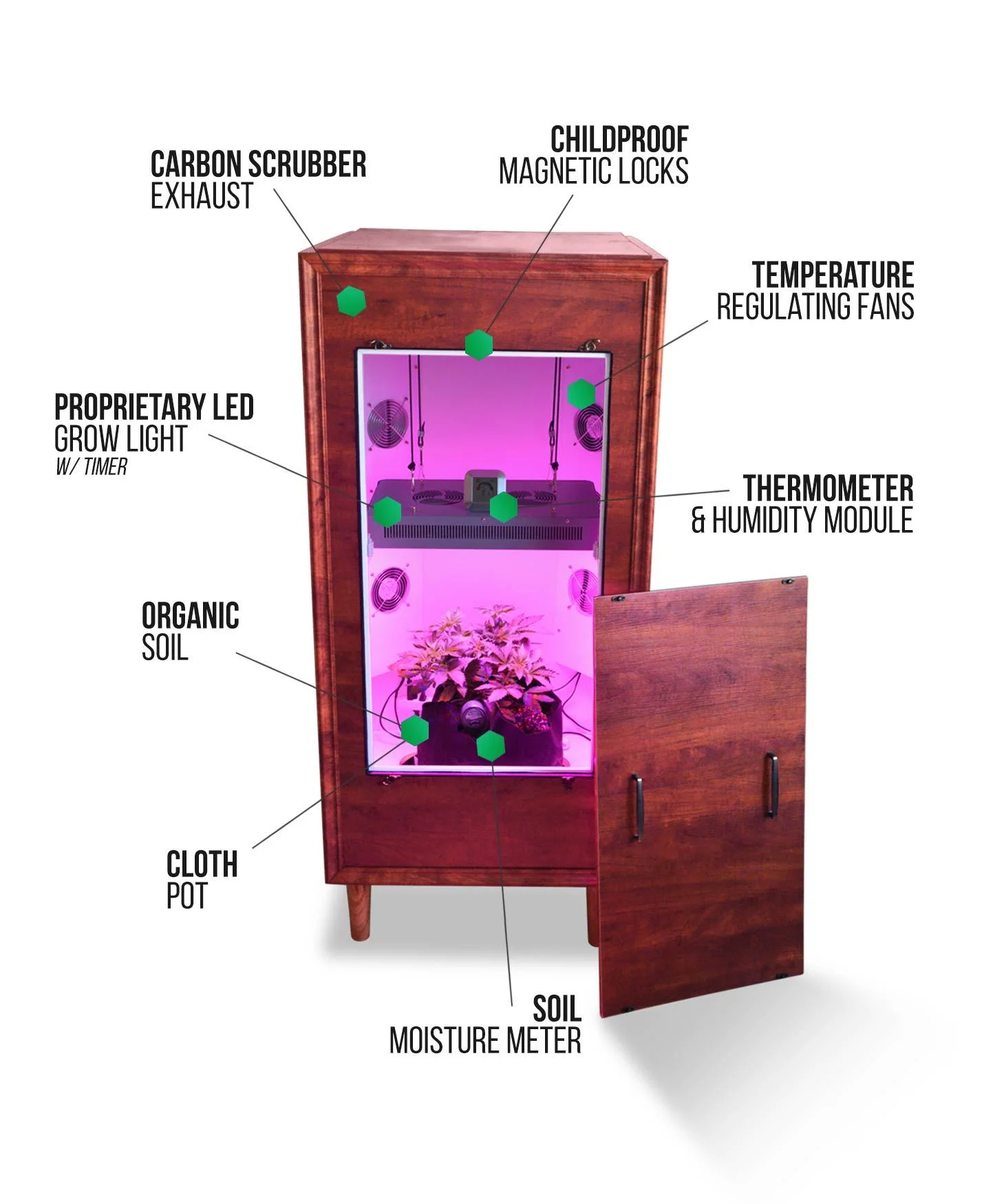 A peek Inside The Armoire