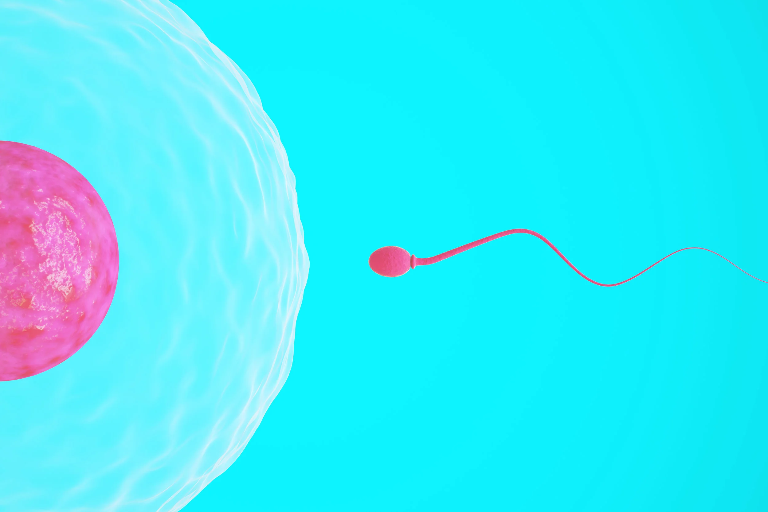 AdobeStock_47192589.jpeg