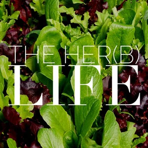 Her(B)+LIFE+Spring+Mix.jpg