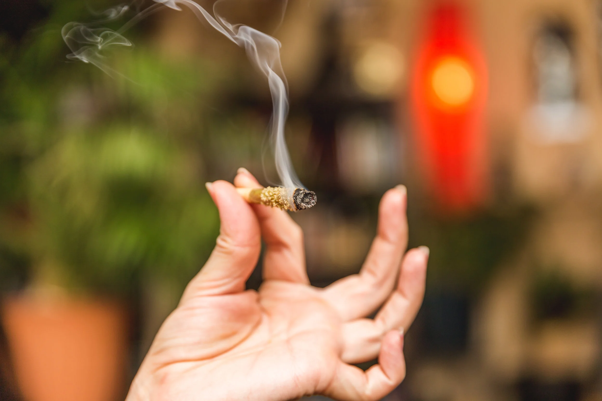 AdobeStock_143856520.jpeg