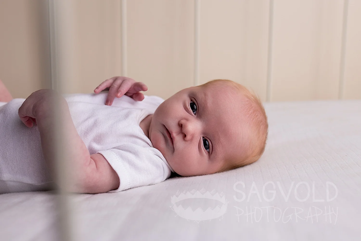 Newborn picture Fargo ND newborn photographer Janna Sagvold Photography