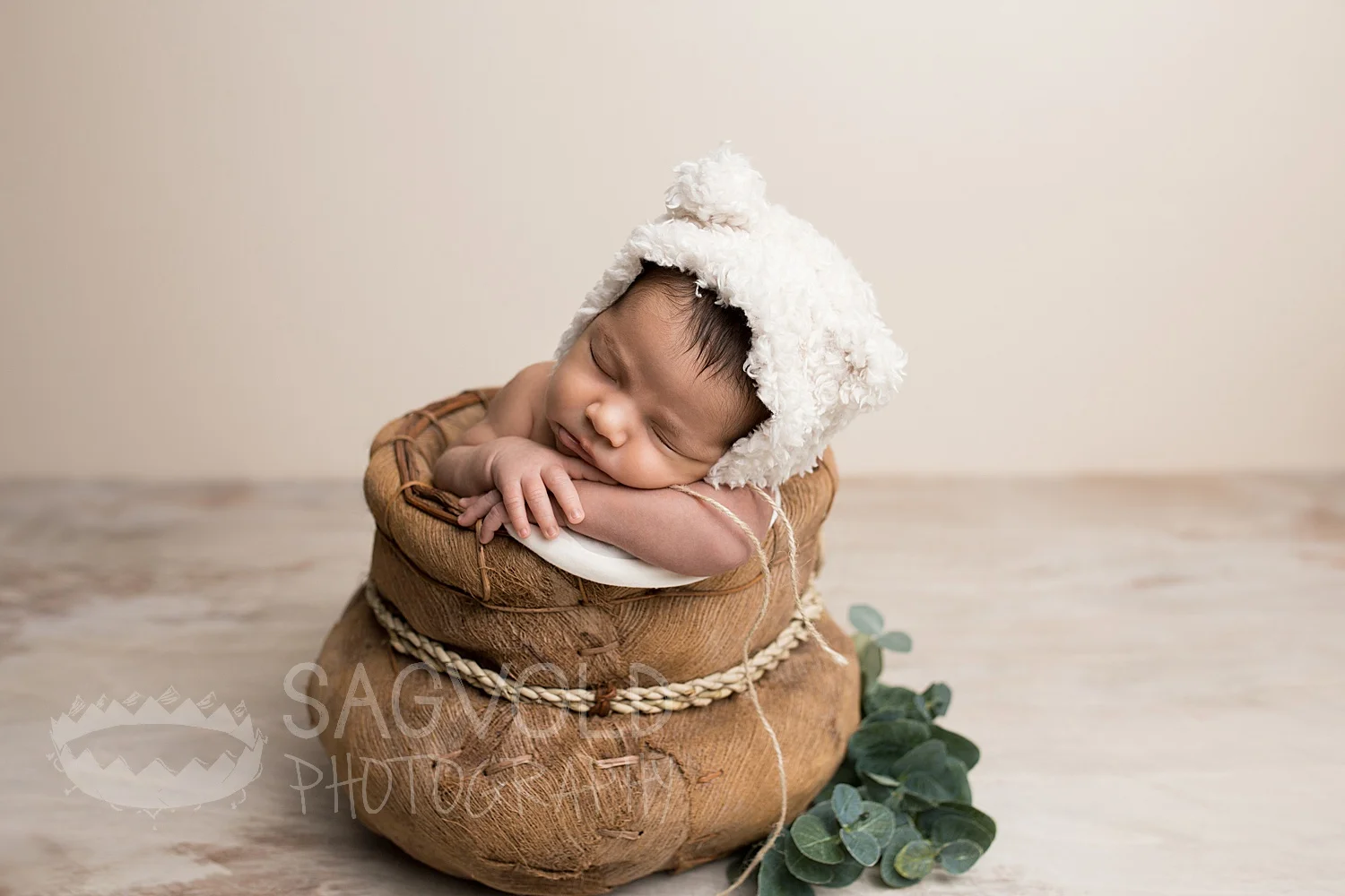 Newborn picture Fargo ND newborn photographer Janna Sagvold Photography