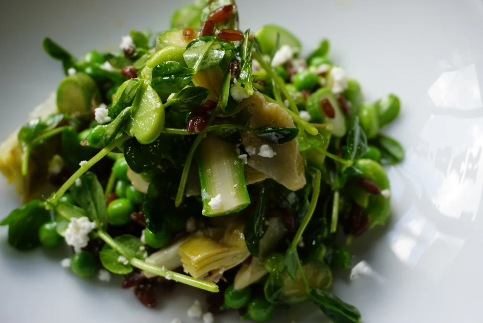SPRING SALAD.jpg