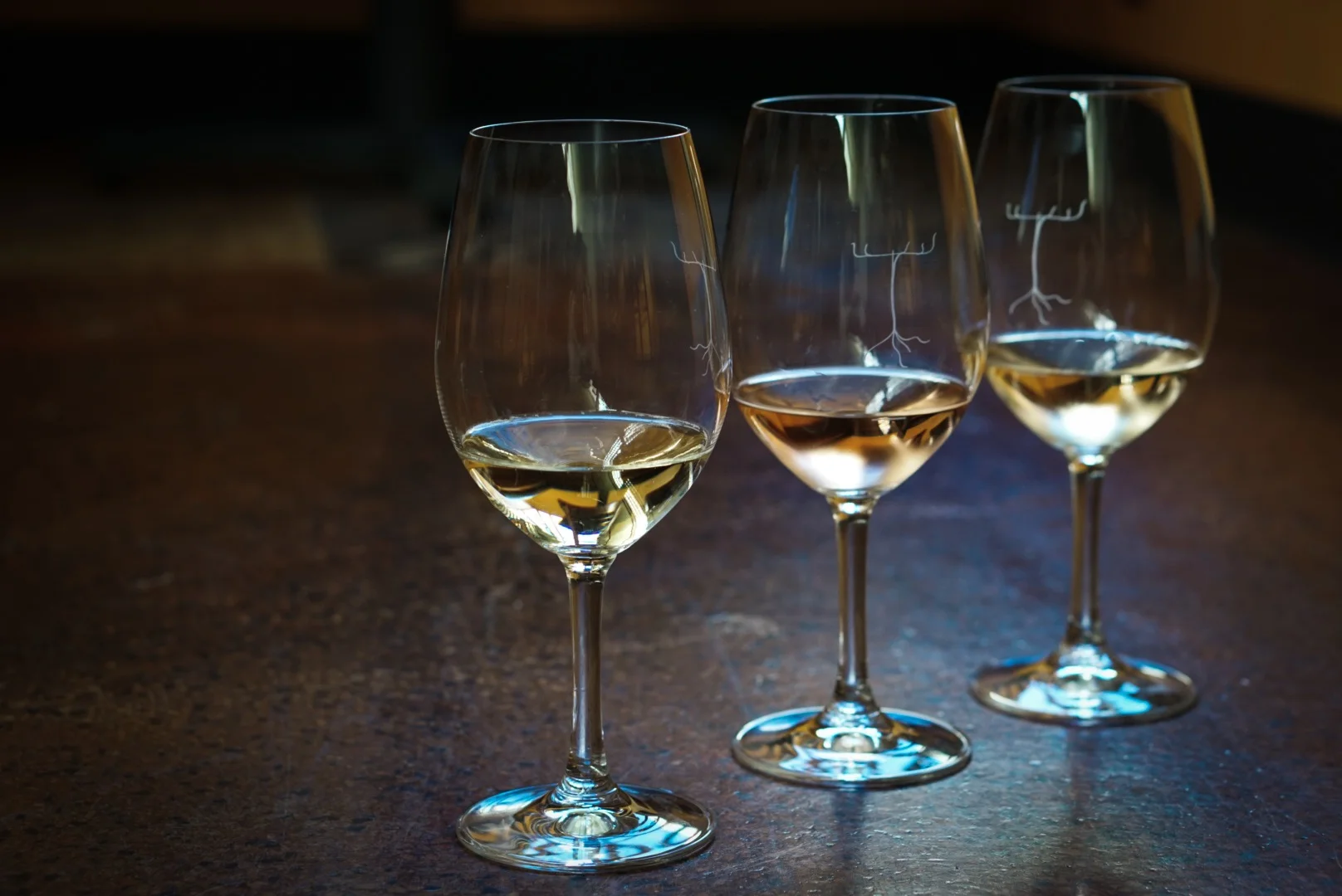 Wine Tasting Stock.jpg