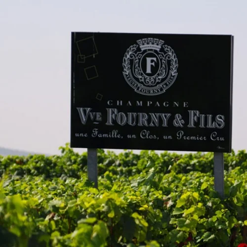 terroir-1.jpg