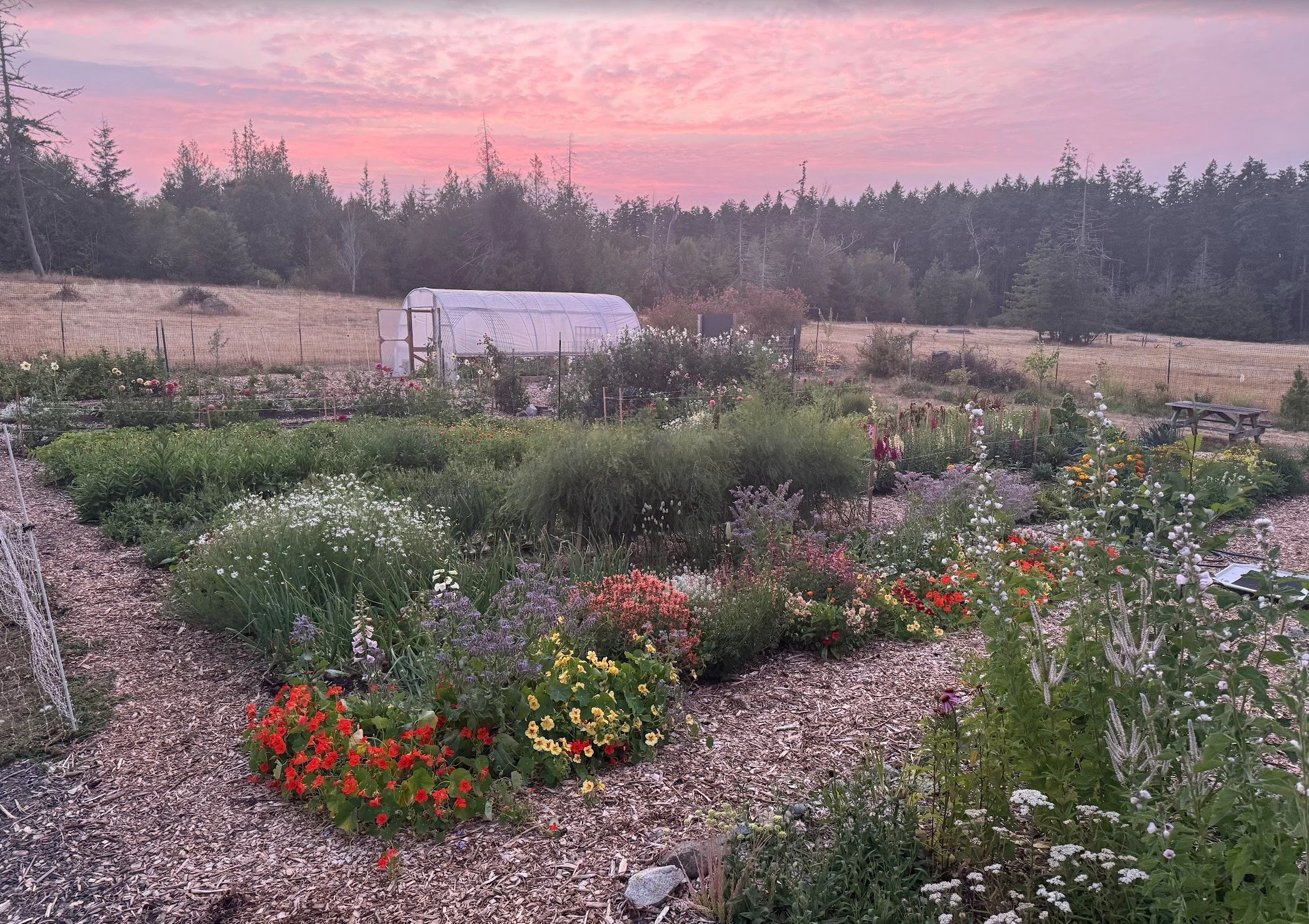 Permaculture design, Port Townsend, Mossy Moon farms