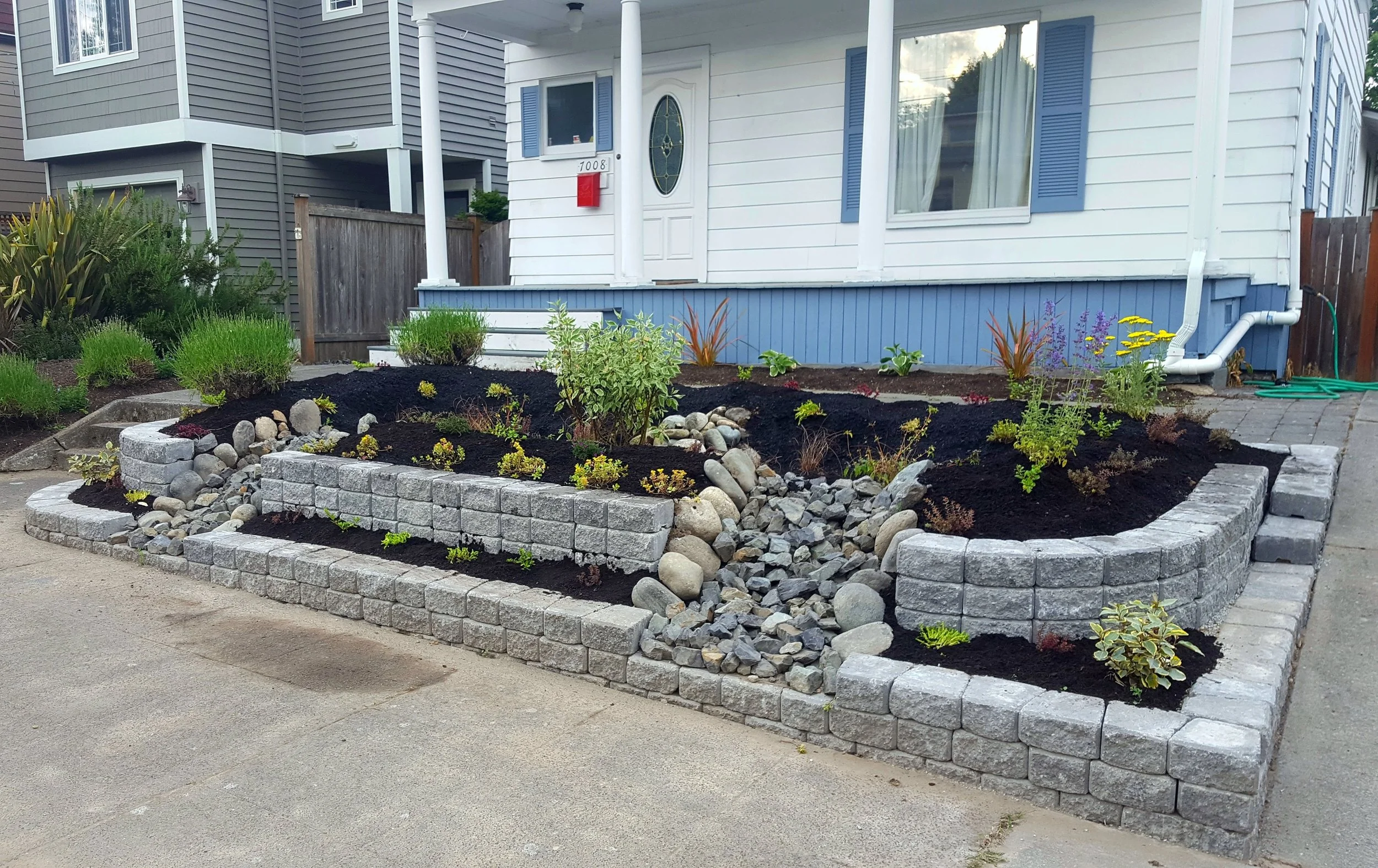 Rain Gardens — Regeneration Landscaping