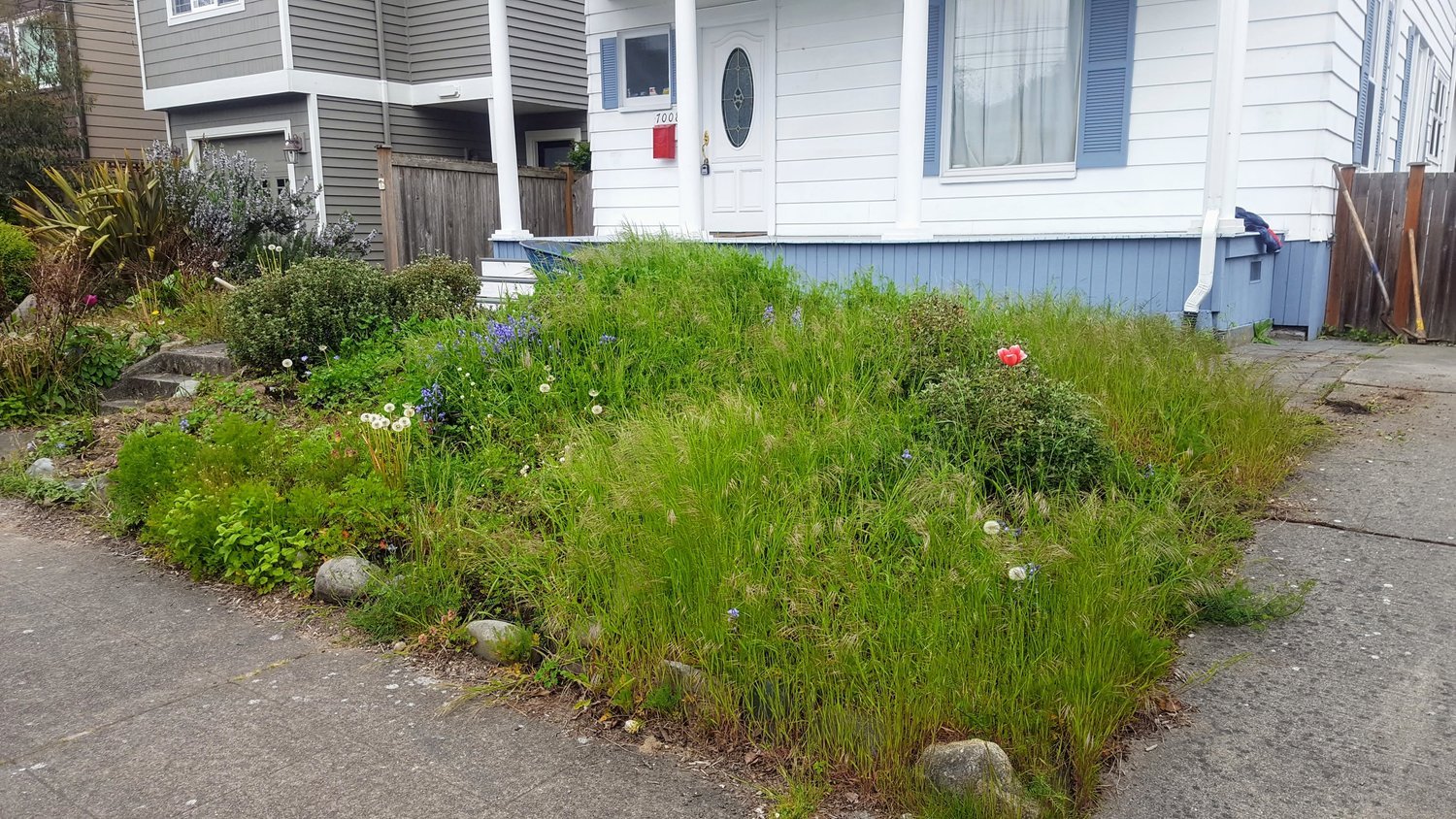 Clea+before+rain+garden.jpeg