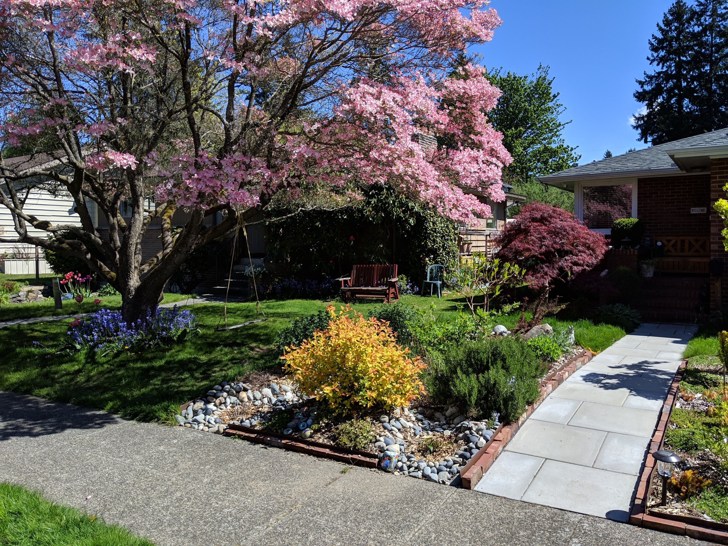 Seattle Rainwise Rebate rain garden