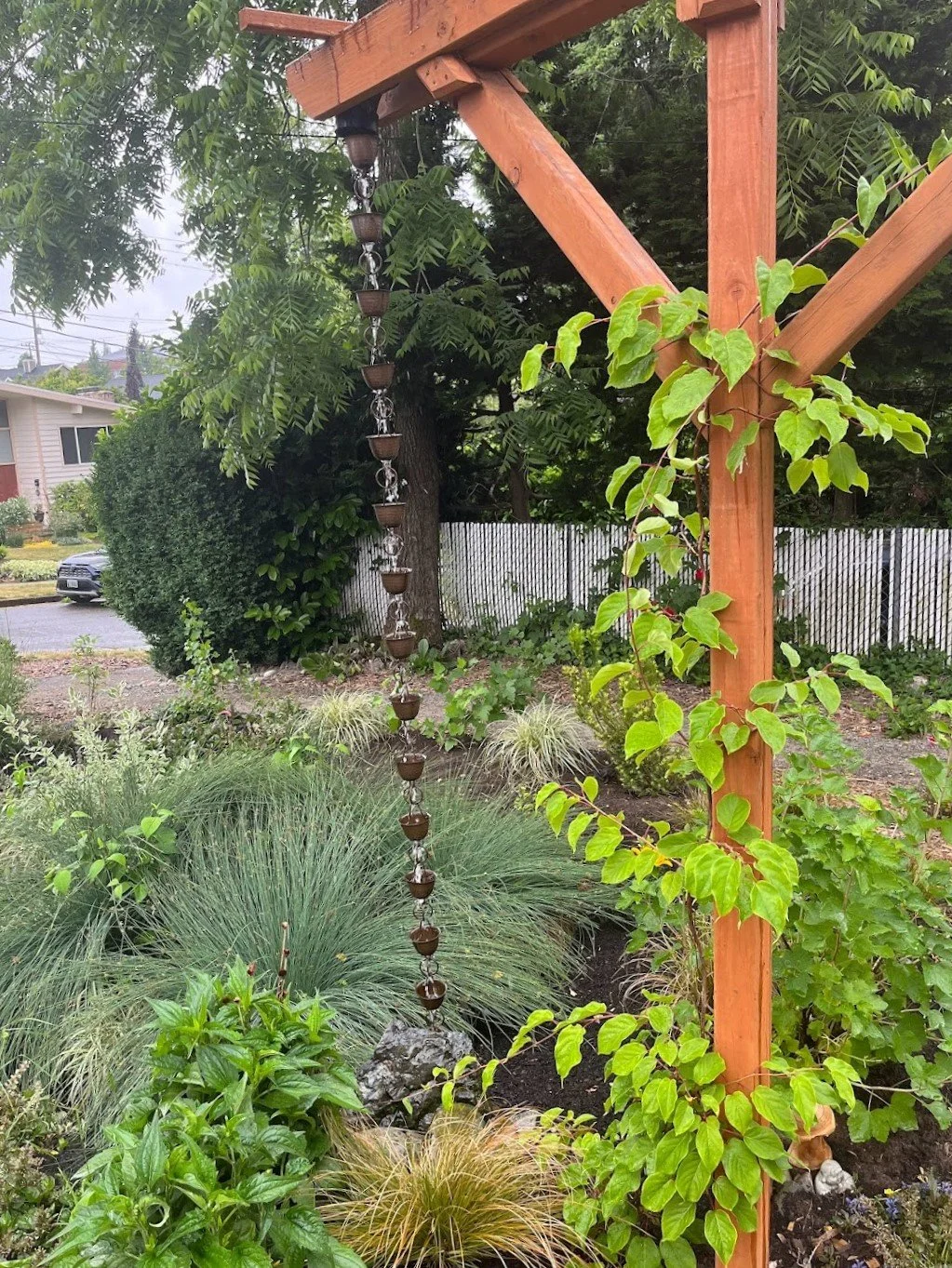 Rainchain for inflow of seattle Rainwise Rebate rain garden