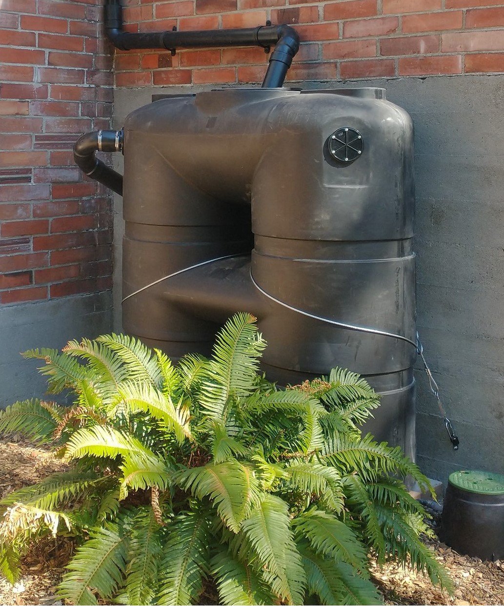 Seattle Rainwise rebate cistern