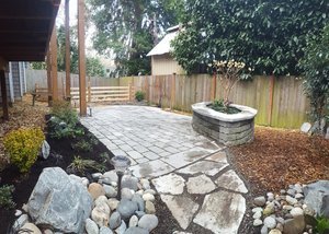  dog friendly landscape backyard 