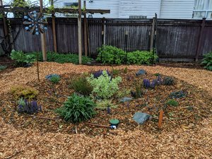  seattle rainwise rebate rain garden and cistern 