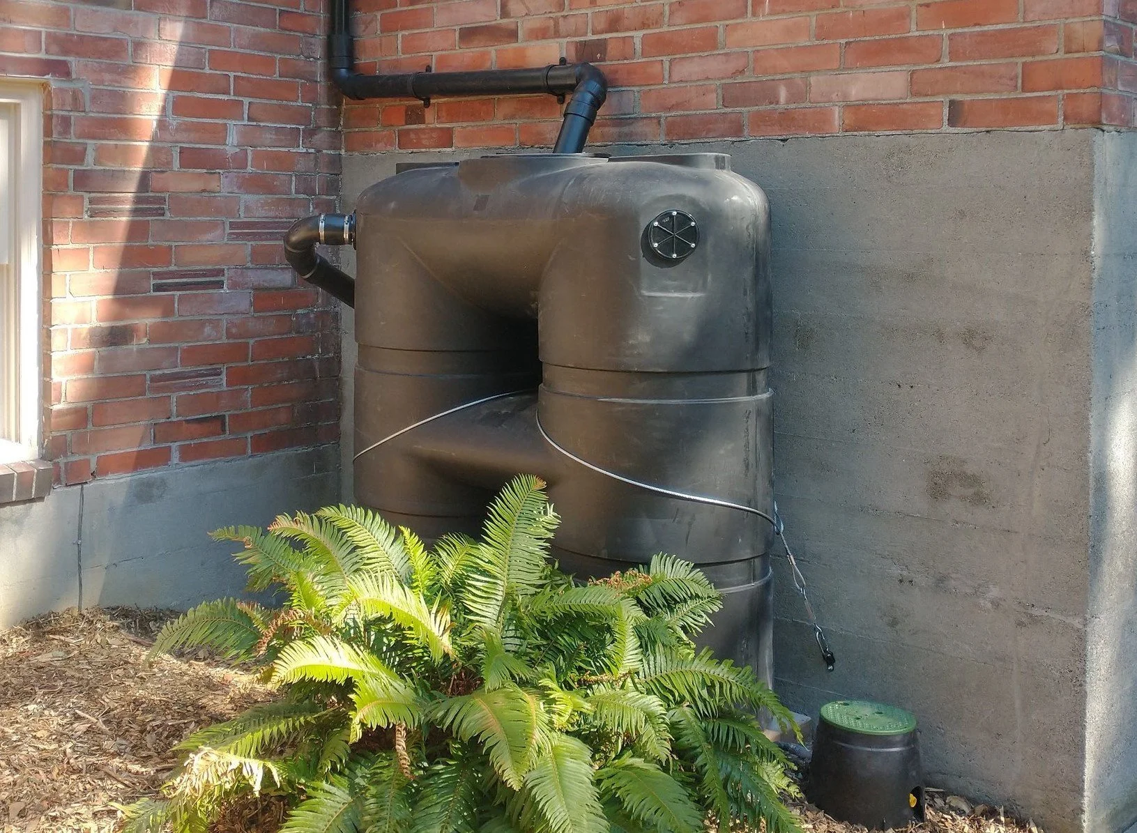 Rainwise Seattle Program, Rainwater catchment, Cisterns, Cistern, Rain barrel Rainbarrel, Emergency Water, Bainbridge prepares, Bainbridge, Kitsap, Port Townsend, Sequim, Sustainable landscaping, permaculture, ecological landscaping