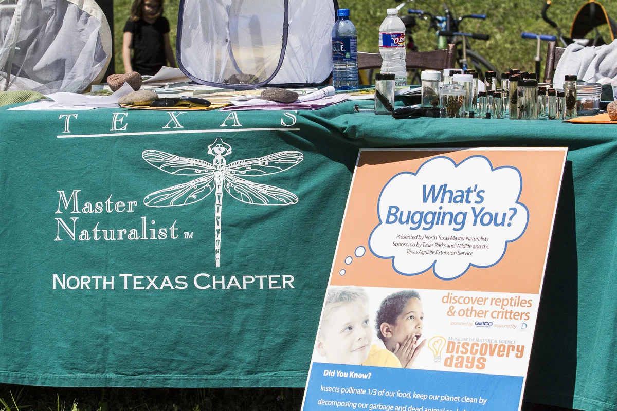 NHT Park Day 20162.jpg