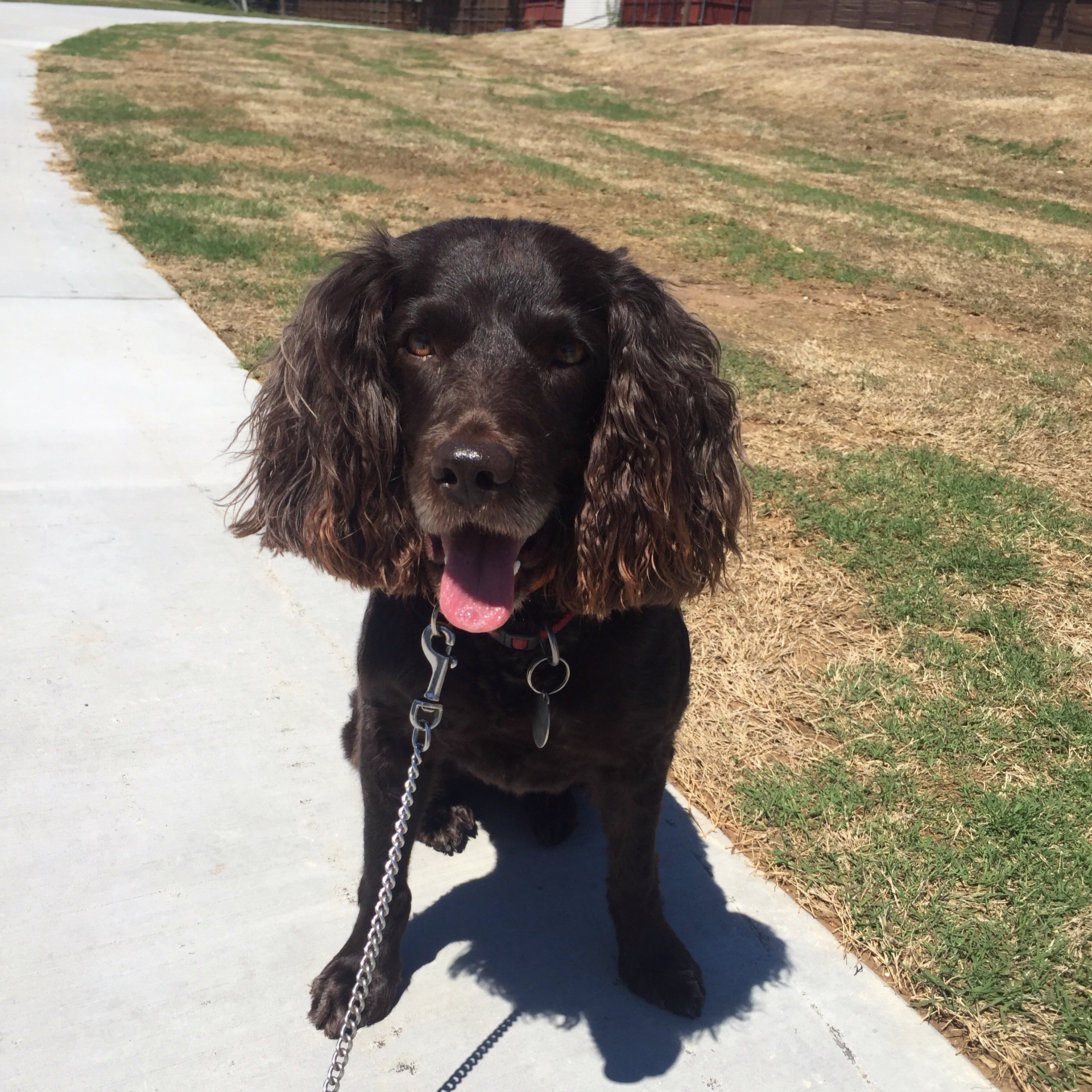 Nola on the Trail