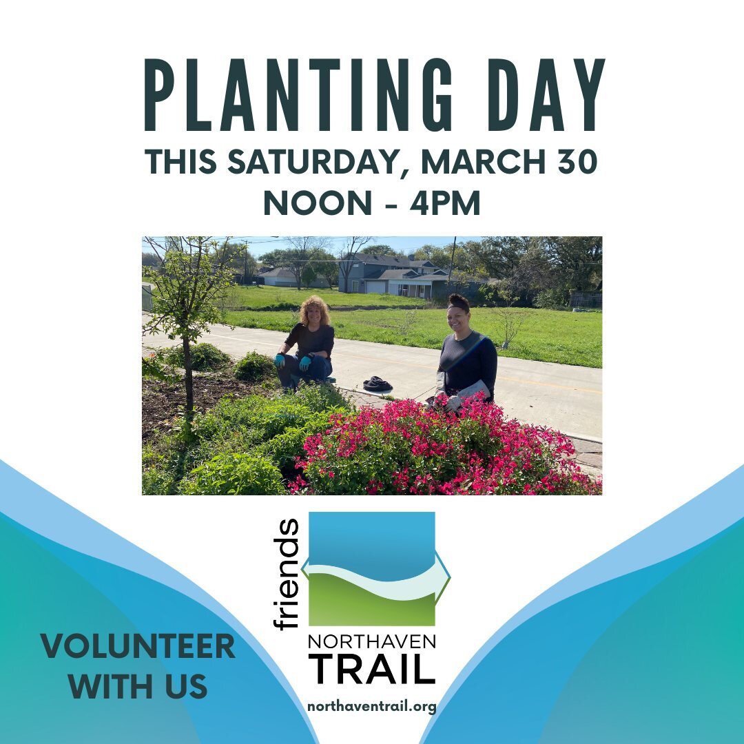 Come help us continue our prairie restoration work this Saturday! No experience necessary. We'll be planting small native perennial plants on the trail near the Freda Stern intersection.

Bonus: We hear there will also be native plants for sale for y