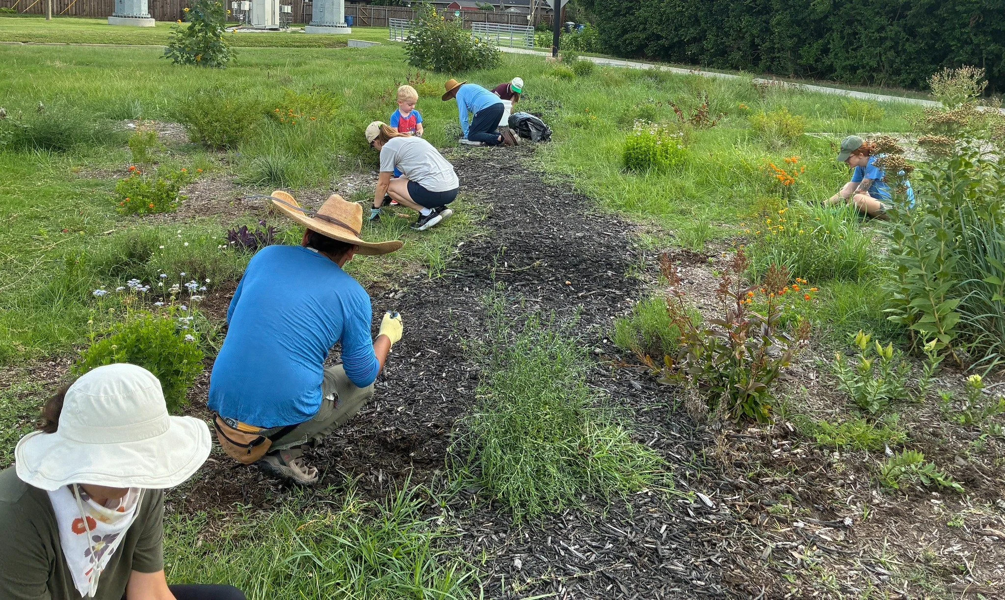 Who needs brunch when you can dig in the dirt? 🌱 Join us for our Work Day this Saturday, September 6th at our pollinator garden near Royal Park, 3433 Townsend Drive. We'll provide the dirt, you bring the elbow grease (and sunscreen, water, gloves, a