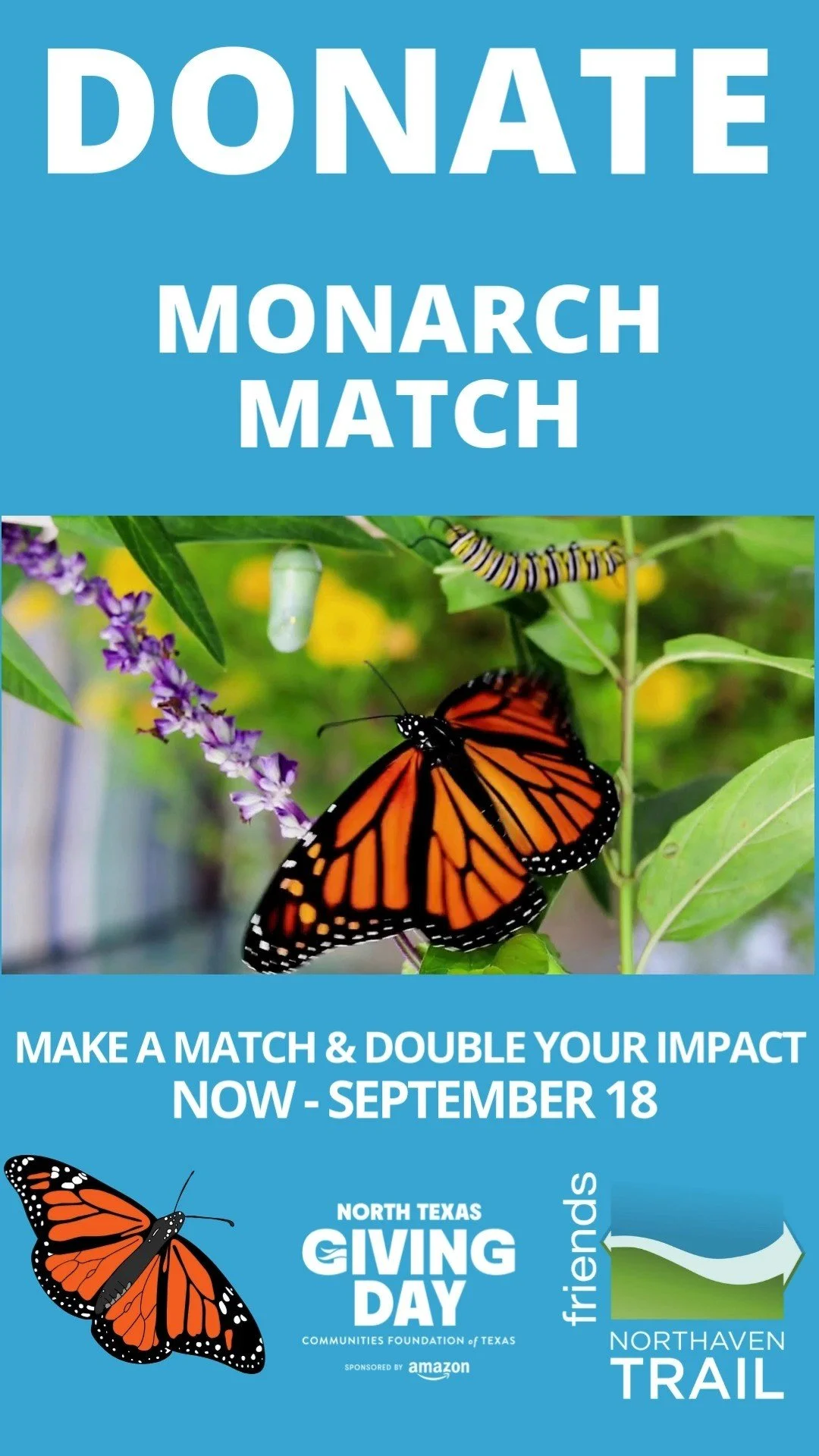 From now until Sept 18, every dollar you give will be matched up to $50,000 to help restore a 9-acre section of the Northaven Trail into a native prairie full of wildflowers and pollinators. 🦋
🌸 Give today. Double your impact: http://northtexasgivi