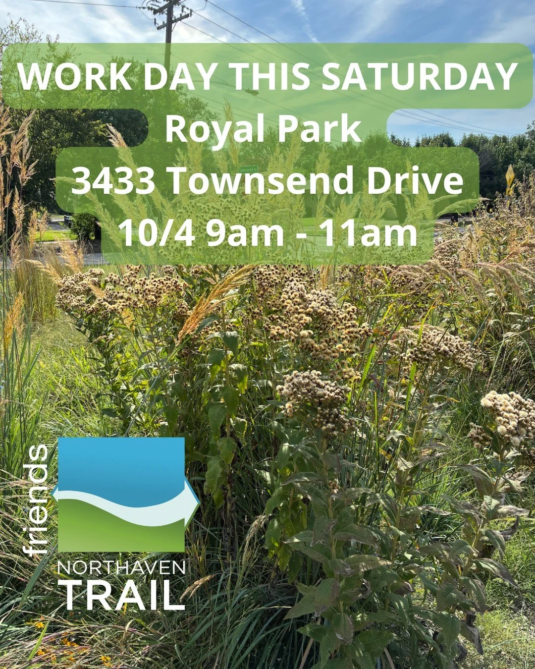 Come help us do some weeding at our Royal Park meadow area this Saturday. 

Details here: https://northaventrail.org/events/2025/10/4