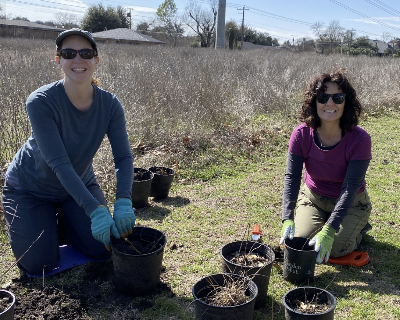 Meadow Work Day - Inwood Road