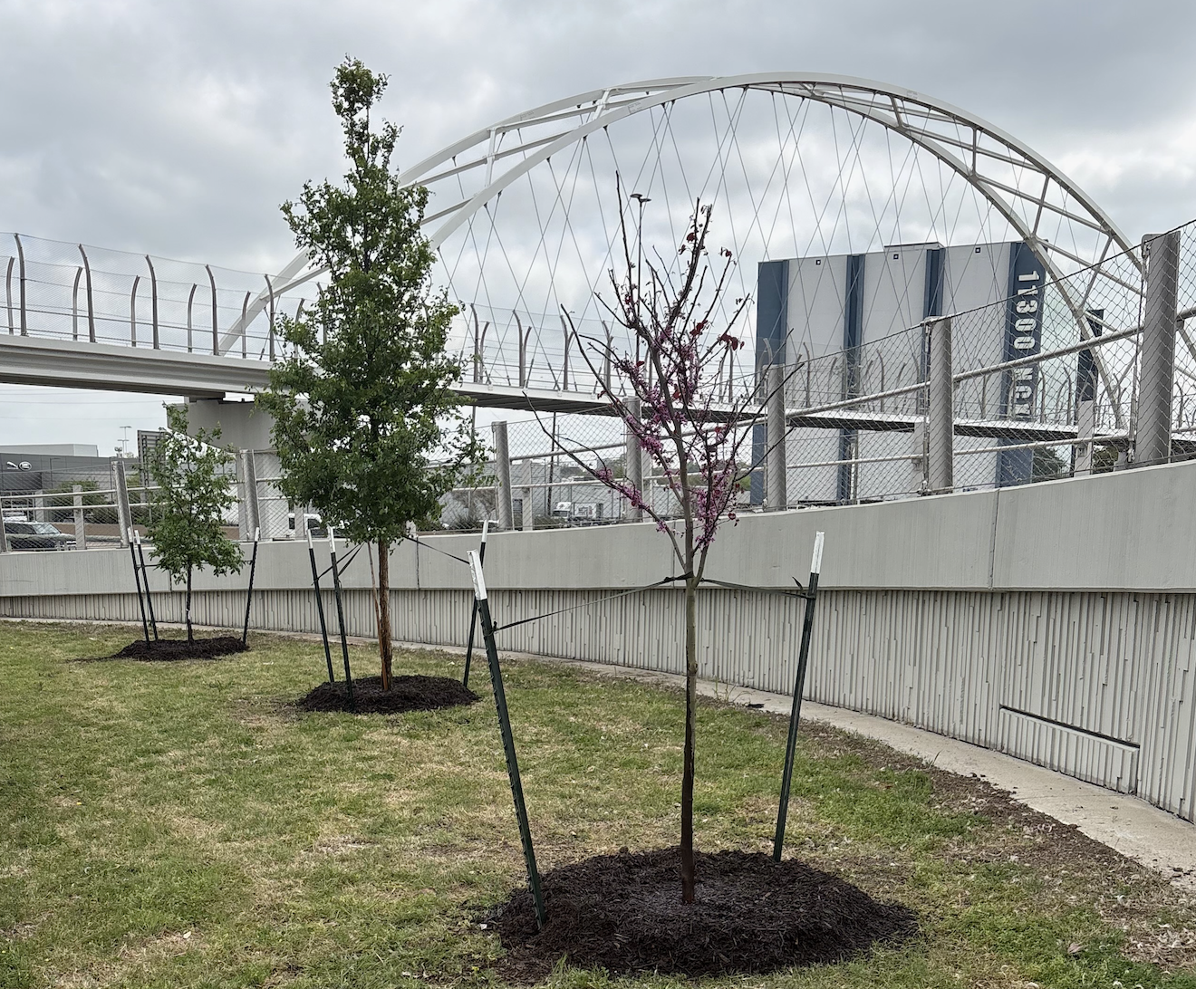 April 2026 Newsletter is out!