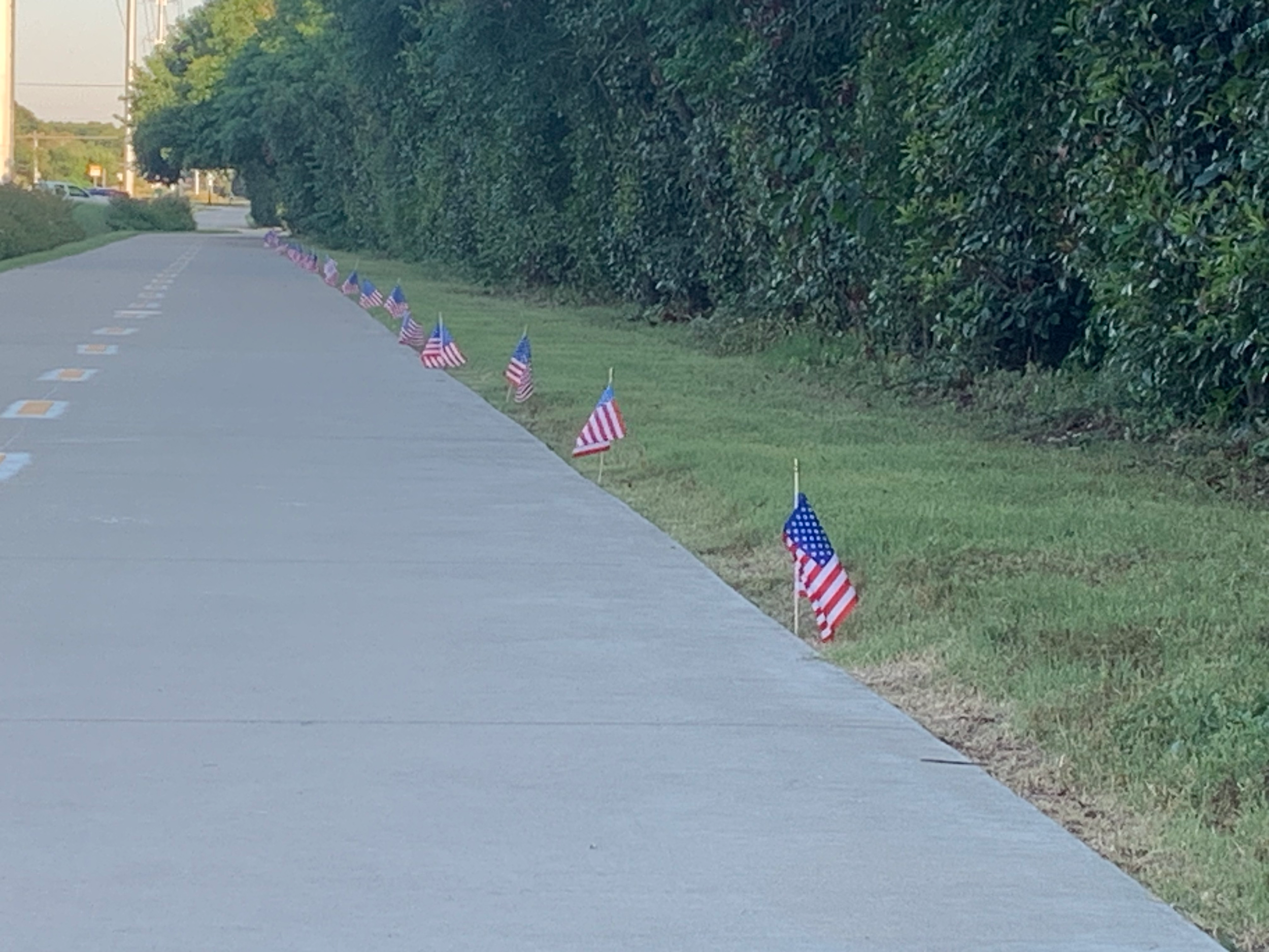 American Flags on the Northaven Trail