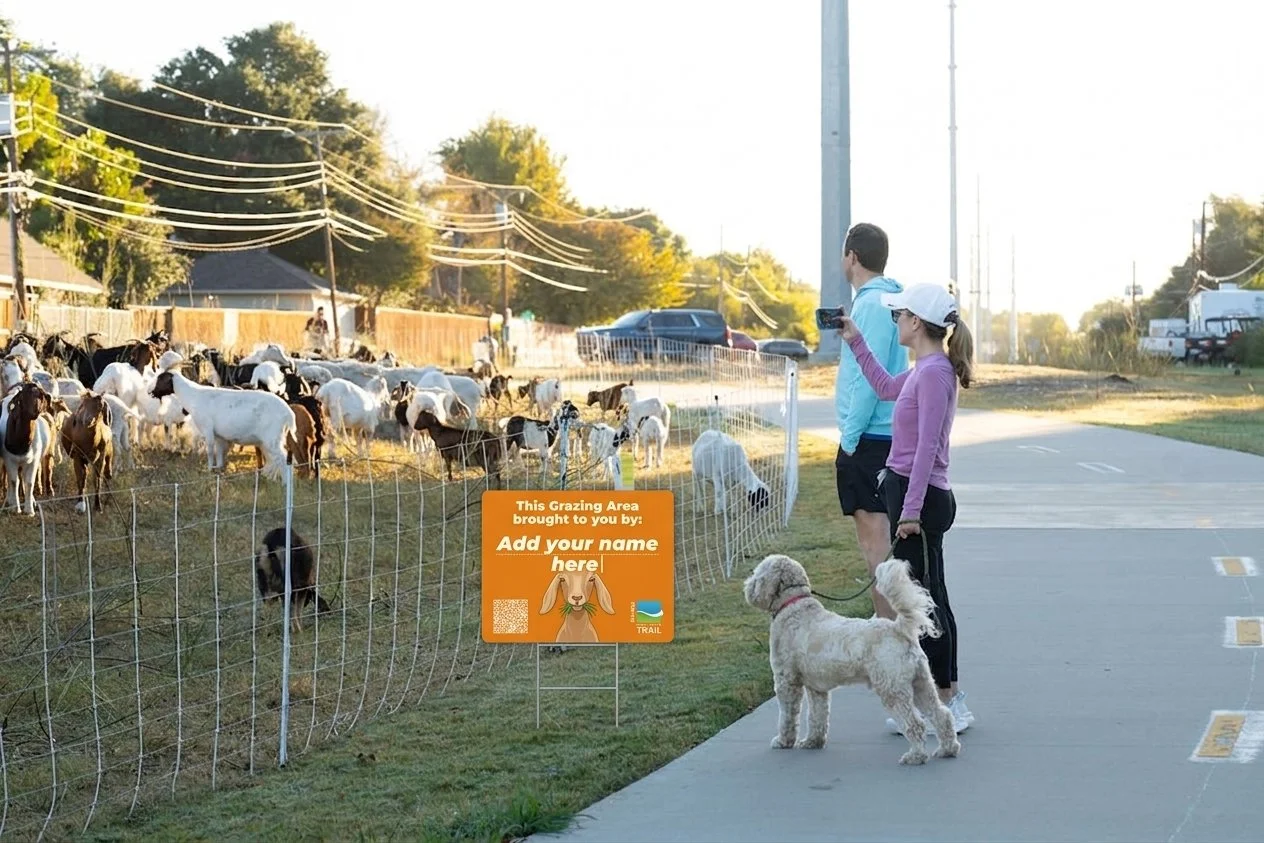 Sponsor the Northaven TAILS to help bring them back!