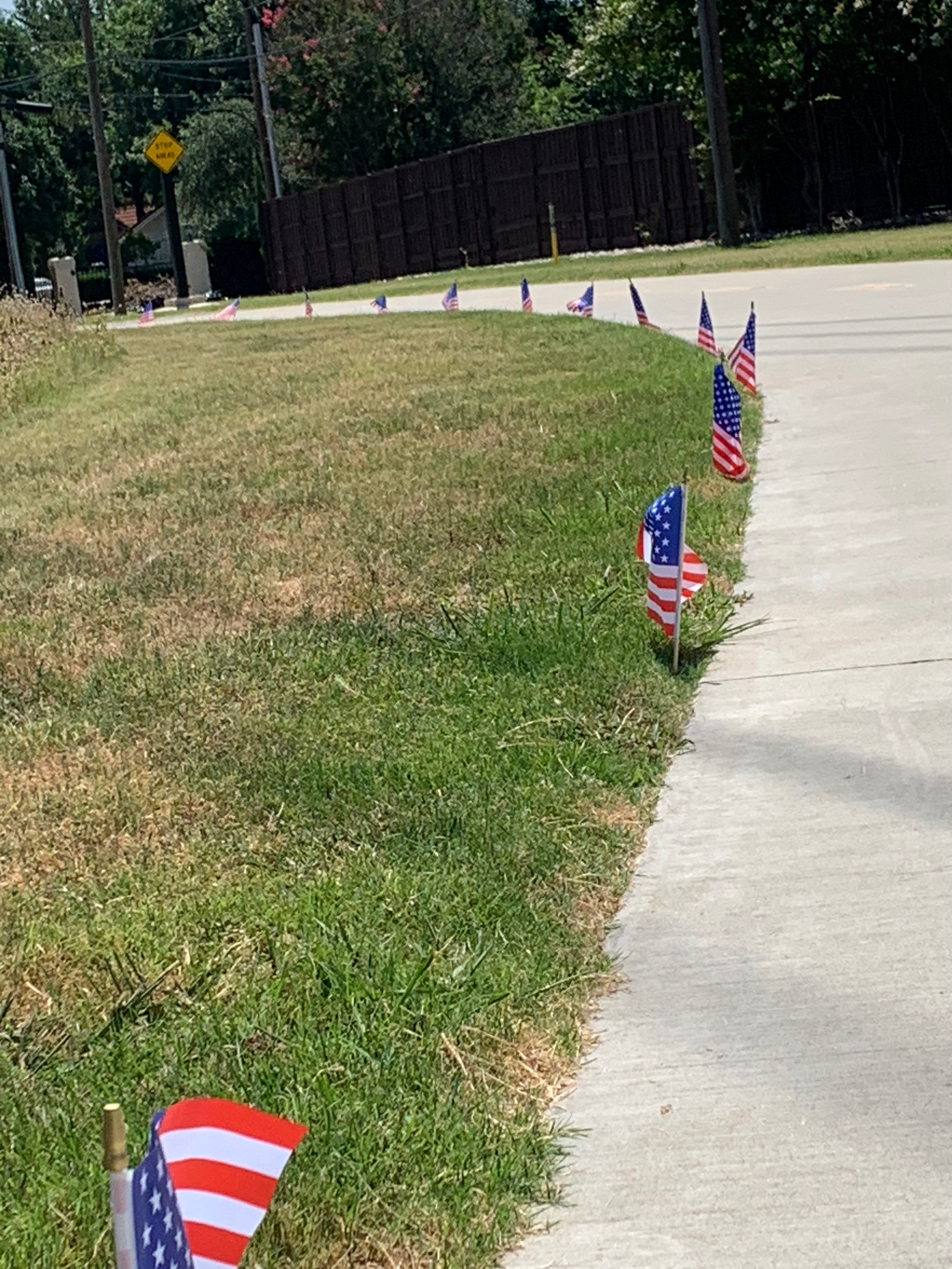 American Flags on Northaven Trail