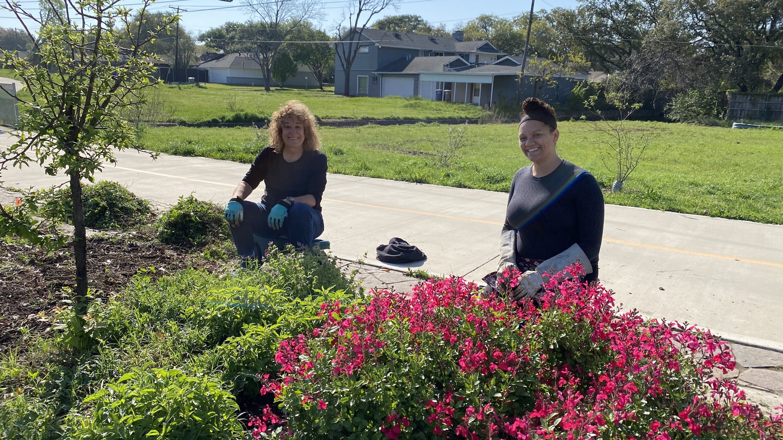 Royal Park Garden Work Day