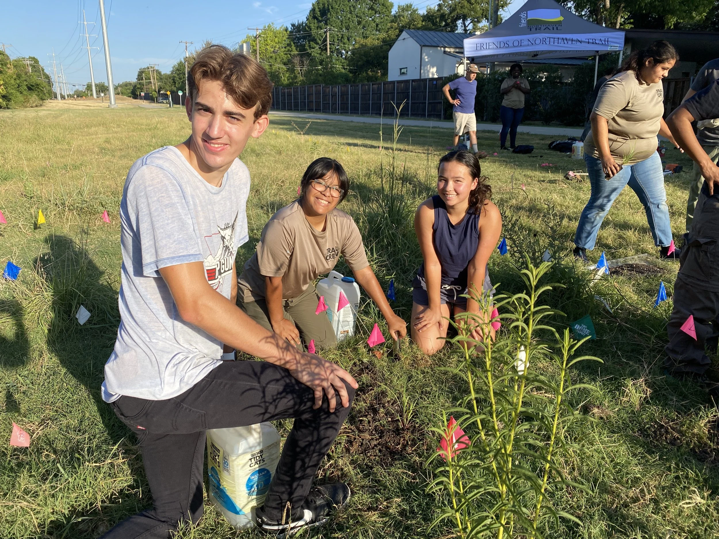Planting at Royal Park Garden
